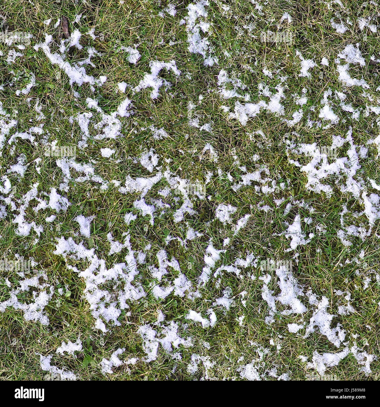 Winter grüne Eis gefroren Strukturen Hintergründe nahtlose Struktur Schnee zu Pflanzen Stockfoto