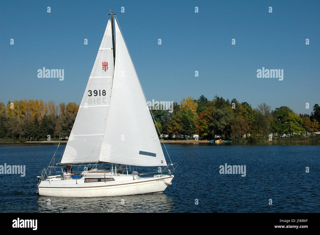 Segler im Herbst Stockfoto