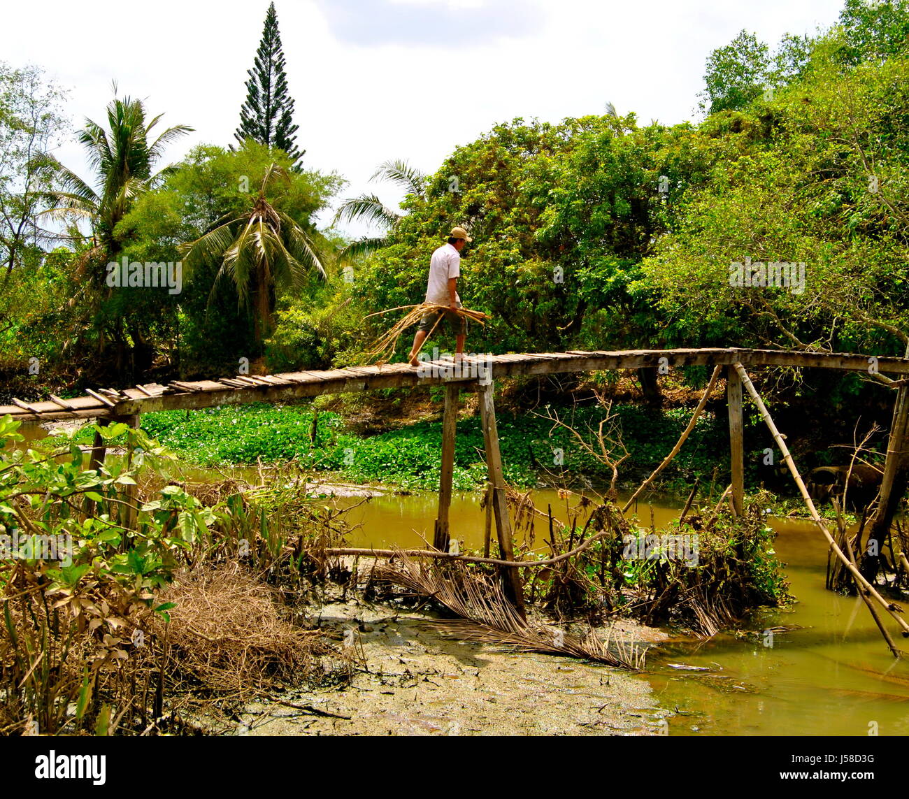 Landwirt über eine hölzerne Brücke, Provinz Vinh Long, Vietnam Stockfoto