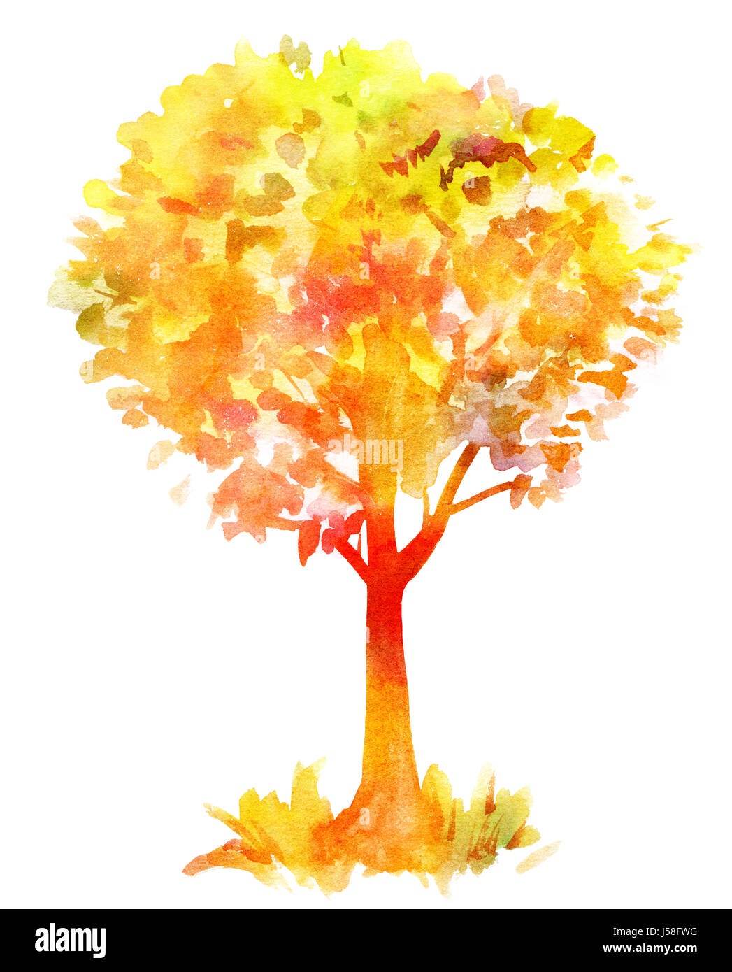 Ein Aquarell Zeichnung Von Einem Baum Im Herbst Getonten Handgezeichnete Auf Weissem Hintergrund Golden Stockfotografie Alamy