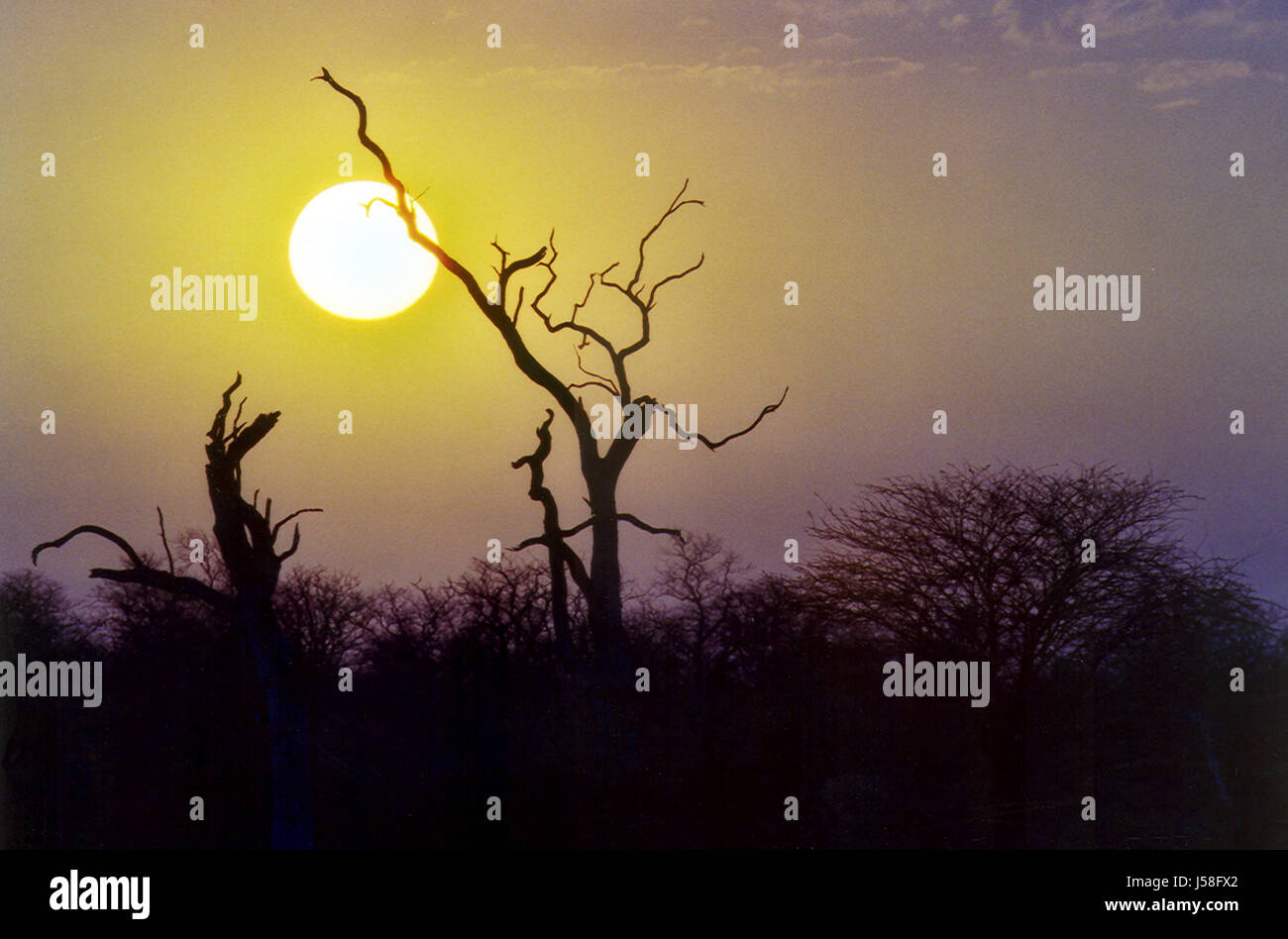Nationalpark Sonnenaufgang morgen Tendenz Dürre sd Afrika sar krger Stockfoto