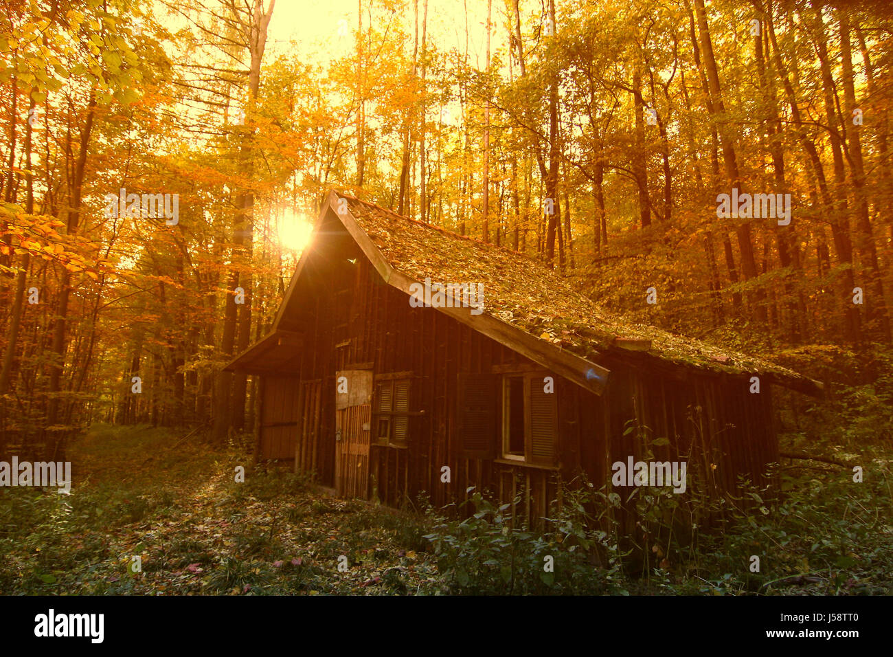 Onkel Toms Htte Stockfotos und bilder Kaufen Alamy