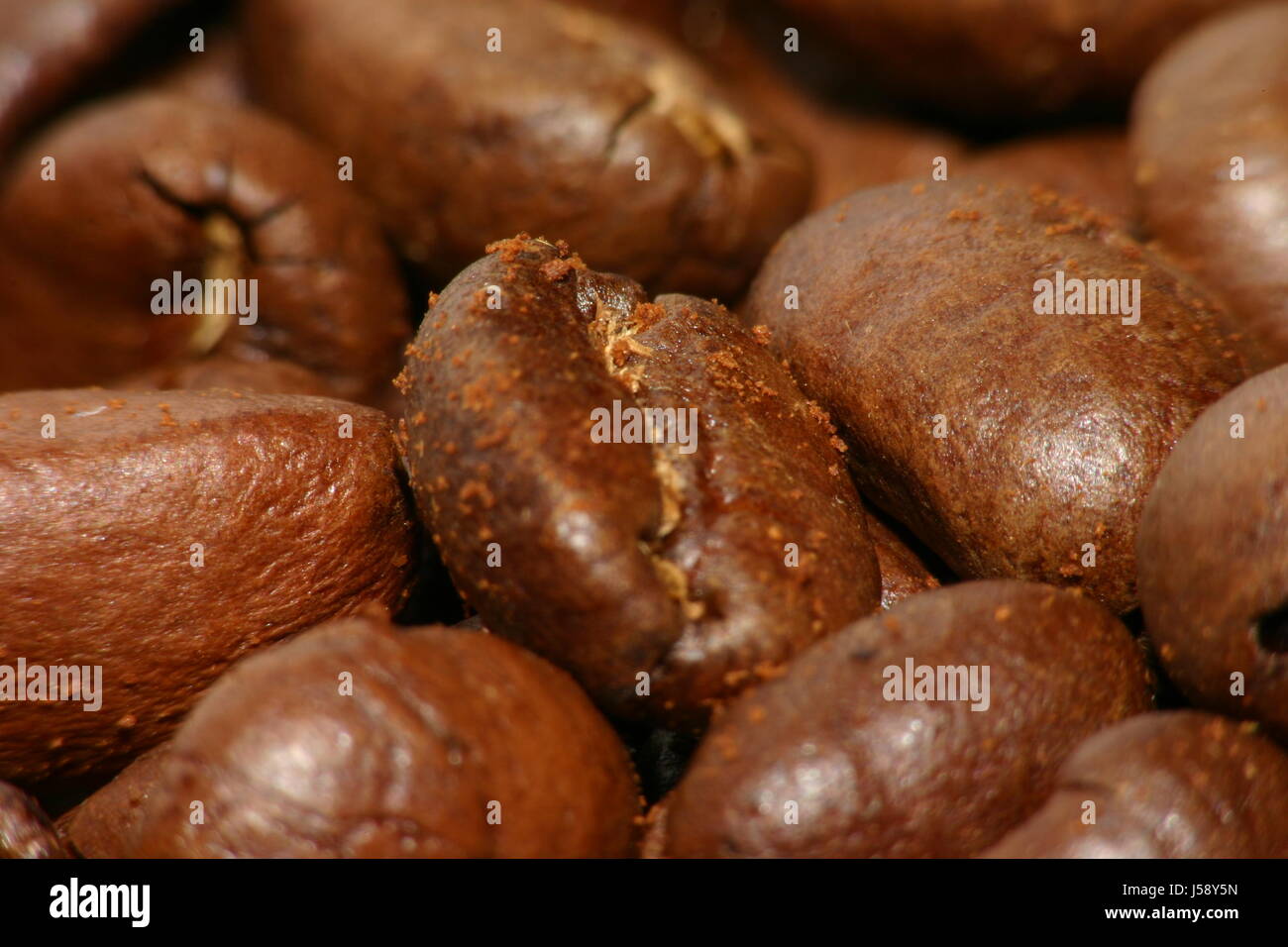 Kaffee Kaffeebohnen Makro Nahaufnahme Makro Aufnahme Nahaufnahme Blick braun bräunlich Stockfoto