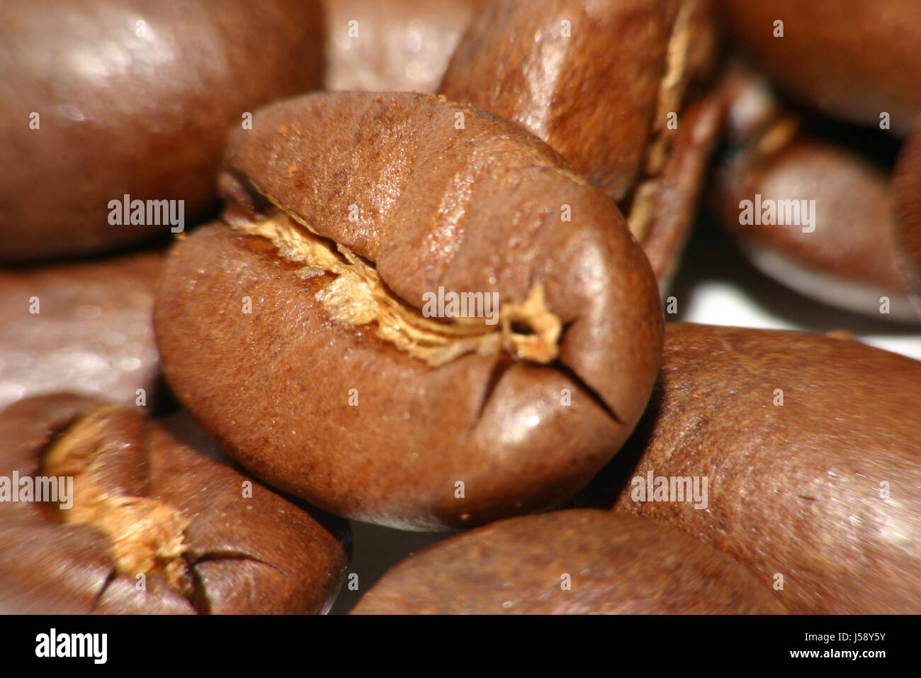 Kaffee Kaffeebohnen Makro Nahaufnahme Makro Aufnahme Nahaufnahme Blick braun bräunlich Stockfoto