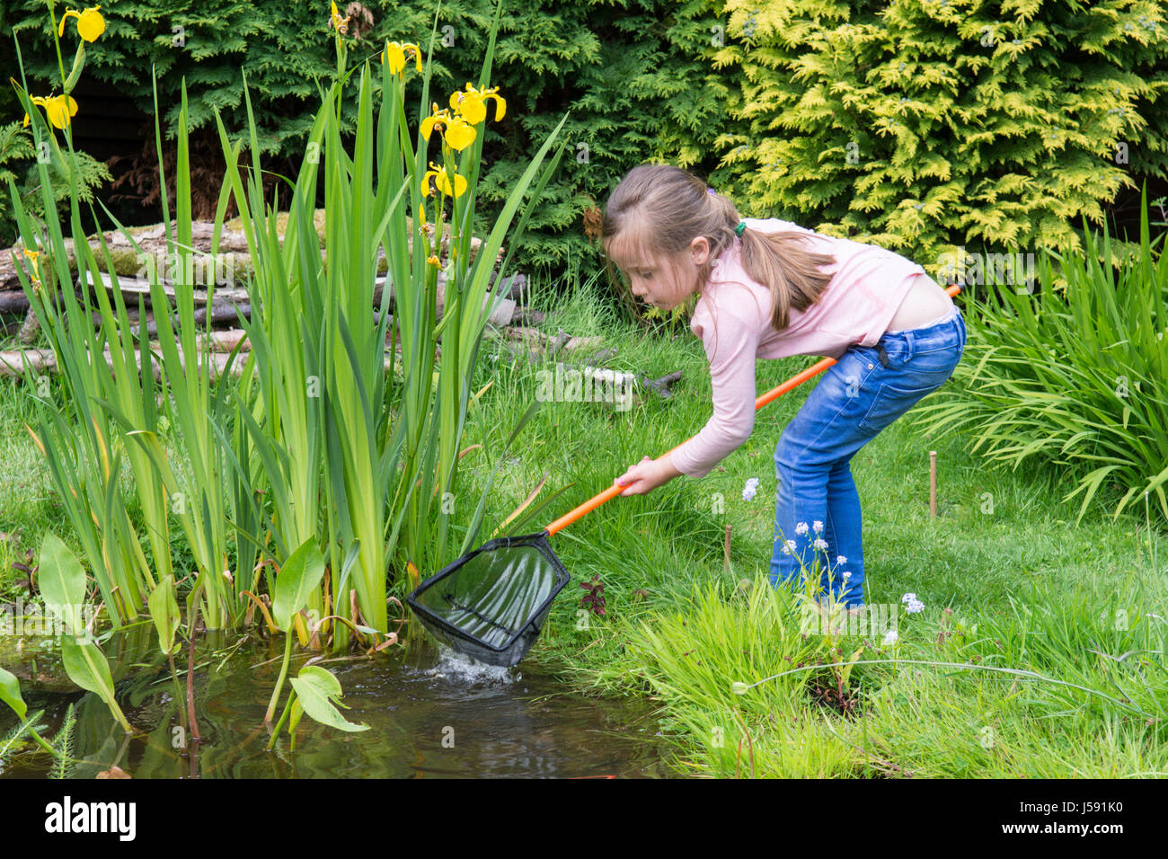 elf Jahre alten Jungen und vier Jahre altes Mädchen Teich eintauchen, Kaulquappen und andere Wildtiere in einem Netz in einem Gartenteich zu fangen versuchen. Sussex, UK. Mai. Stockfoto