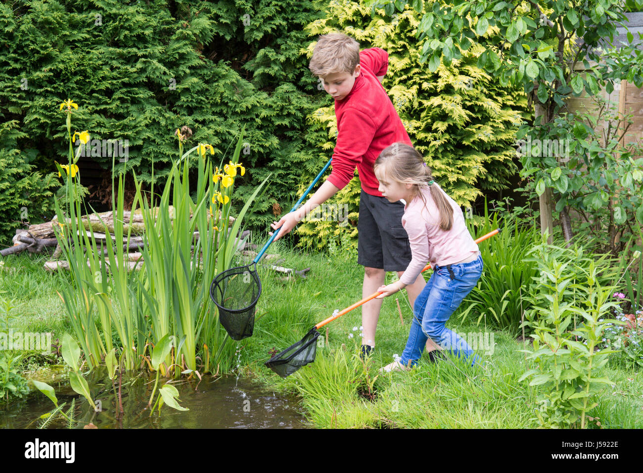 elf Jahre alten Jungen und vier Jahre altes Mädchen Teich eintauchen, Kaulquappen und andere Wildtiere in einem Netz in einem Gartenteich zu fangen versuchen. Sussex, UK. Mai. Stockfoto