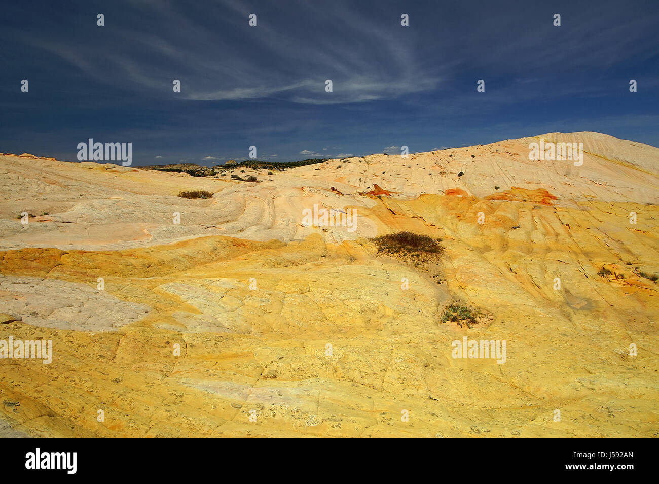 blauer Usa Rock Sandstein Strukturen Vegetation Farbe Denes orange Firmament Himmel Stockfoto