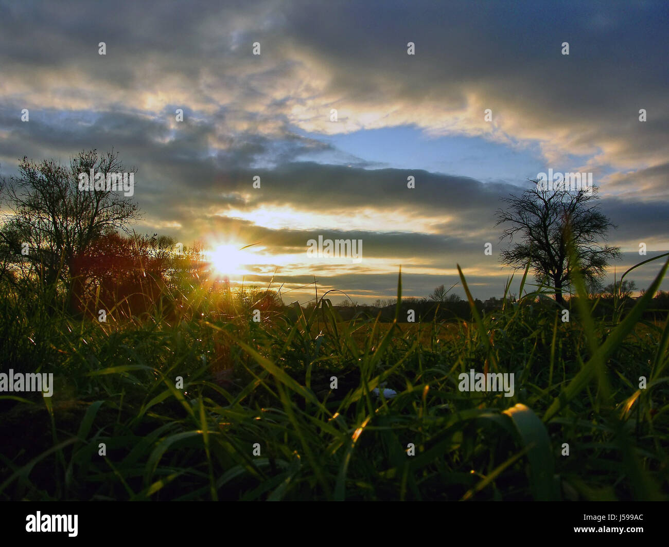 heute (1.advent) um 15:30 in meiner Heimatstadt, um die & # 039 & # 039 Saale Wiesen... Stockfoto