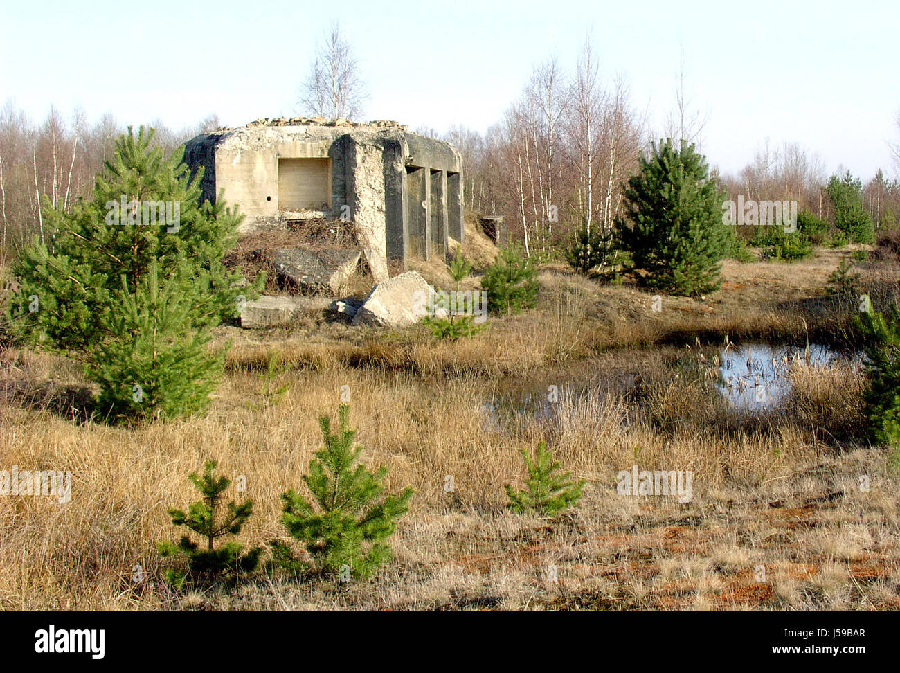 marode Arm militärischen Wachtturm russischen Ausbildung Bereich Checkpoint Armee von Kiefer Stockfoto