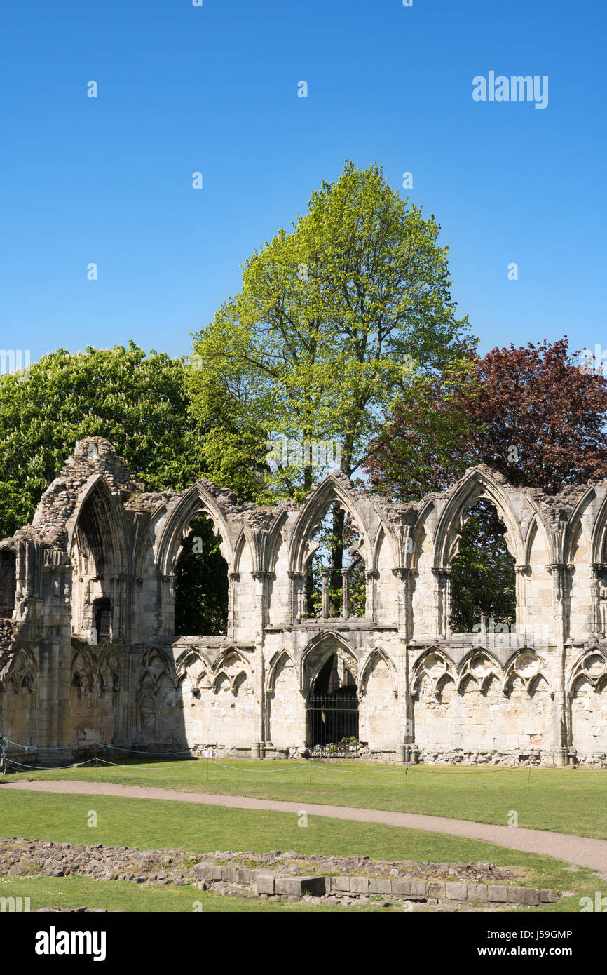 Die verfallenen Mauern von St. Mary's Abbey, York Museum Gardens, York, England, Großbritannien Stockfoto