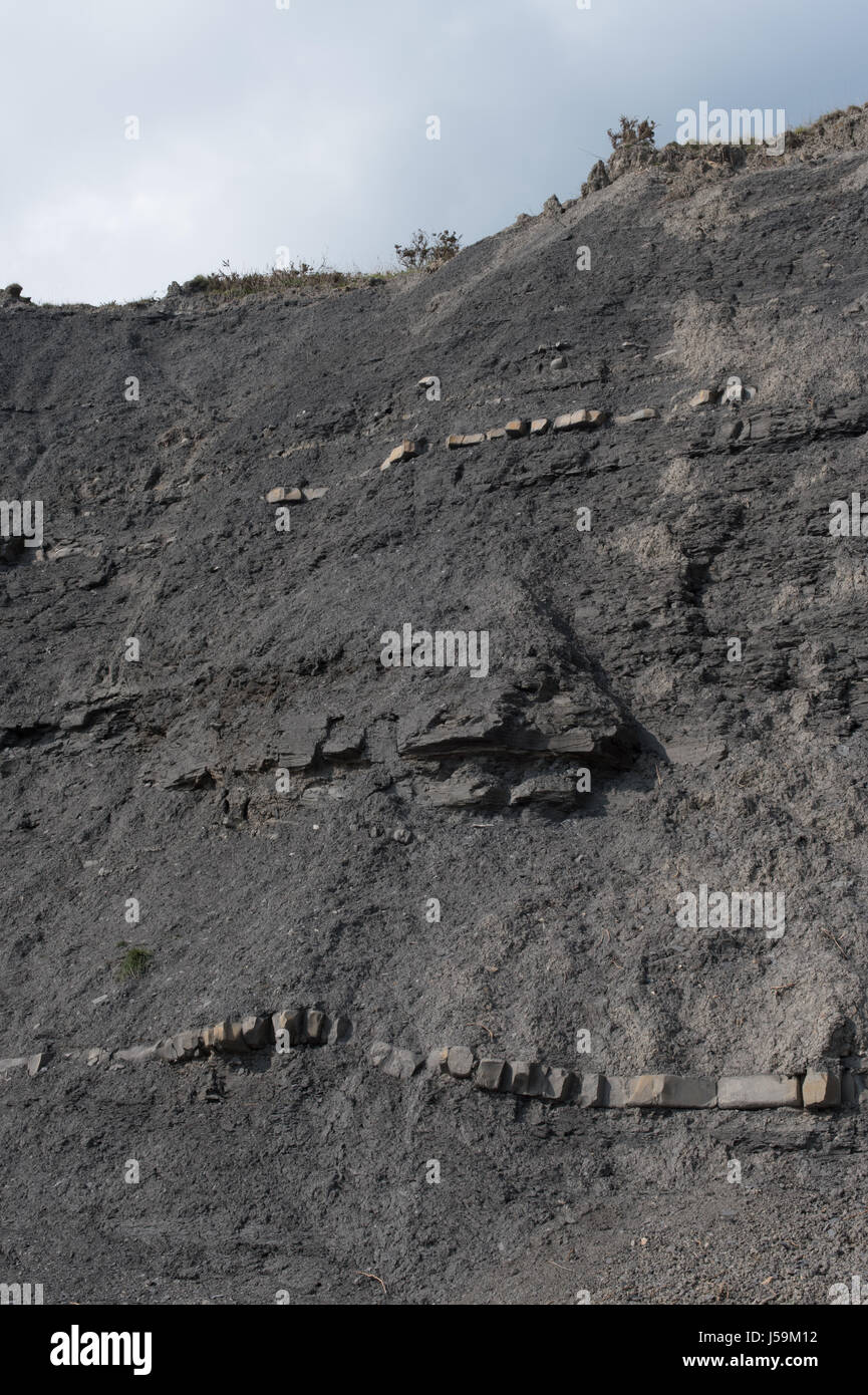 Die fossilen angereicherte Klippen zwischen Charmouth und Golden Cap. Stockfoto