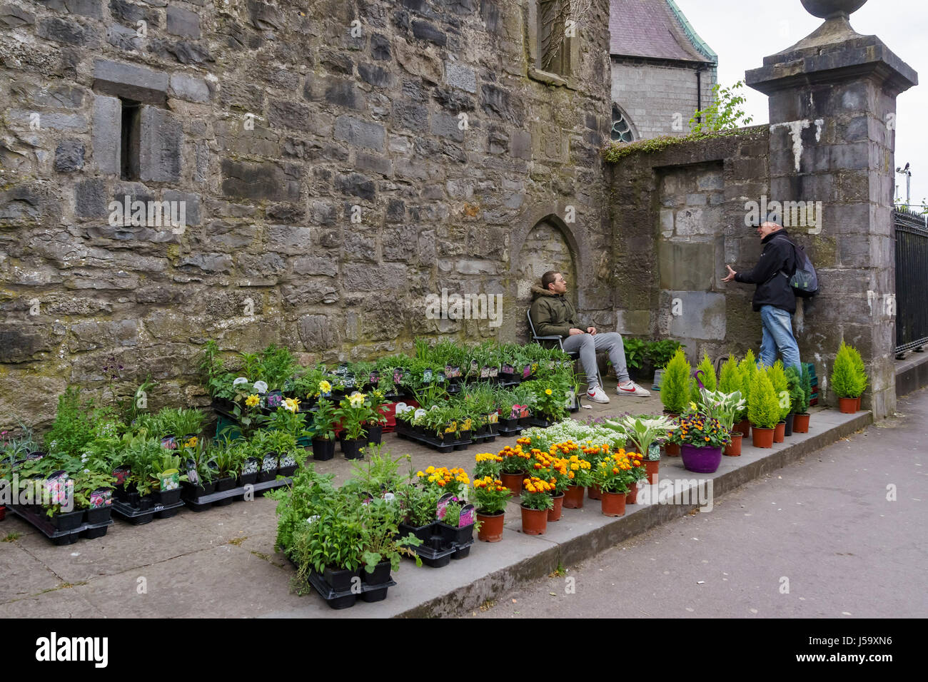 Galway, Mai 6: Markt in der Nähe der Augustiner Kirche am 6. Mai 2017 in Galway, Irland Stockfoto