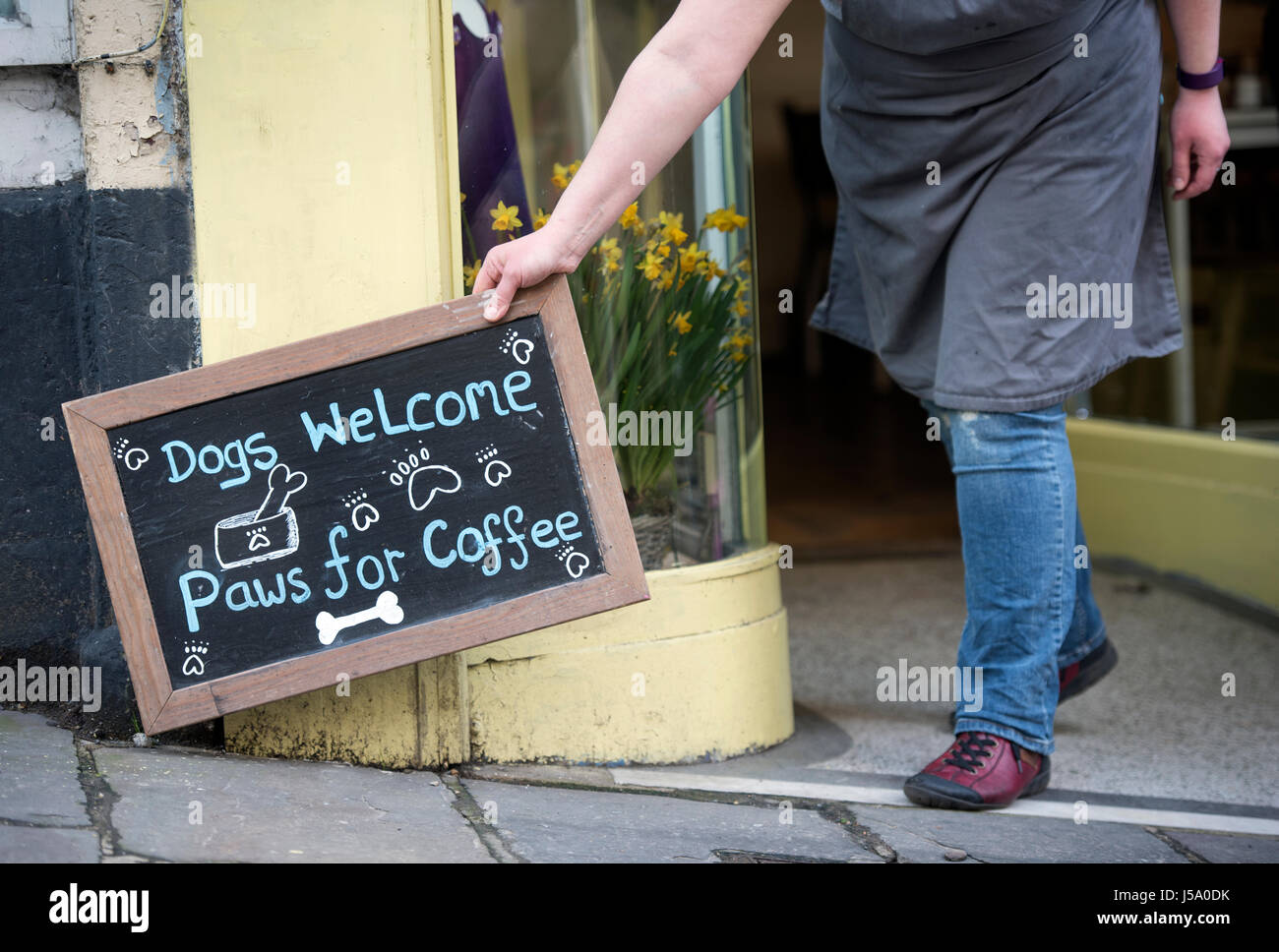 Hund freundliches Café am Stony St in Frome, Somerset UK Stockfoto