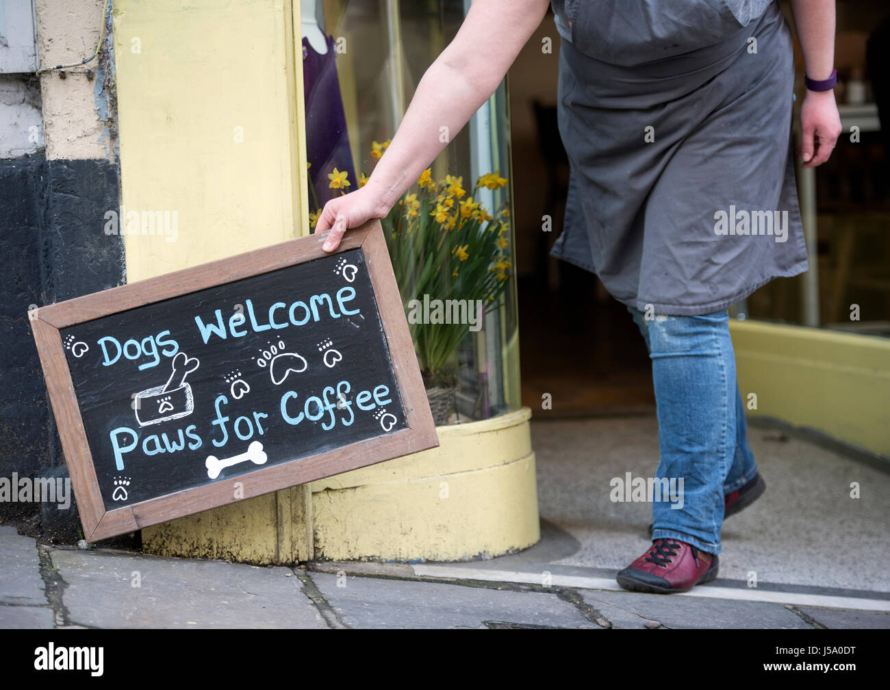 Hund freundliches Café am Stony St in Frome, Somerset UK Stockfoto