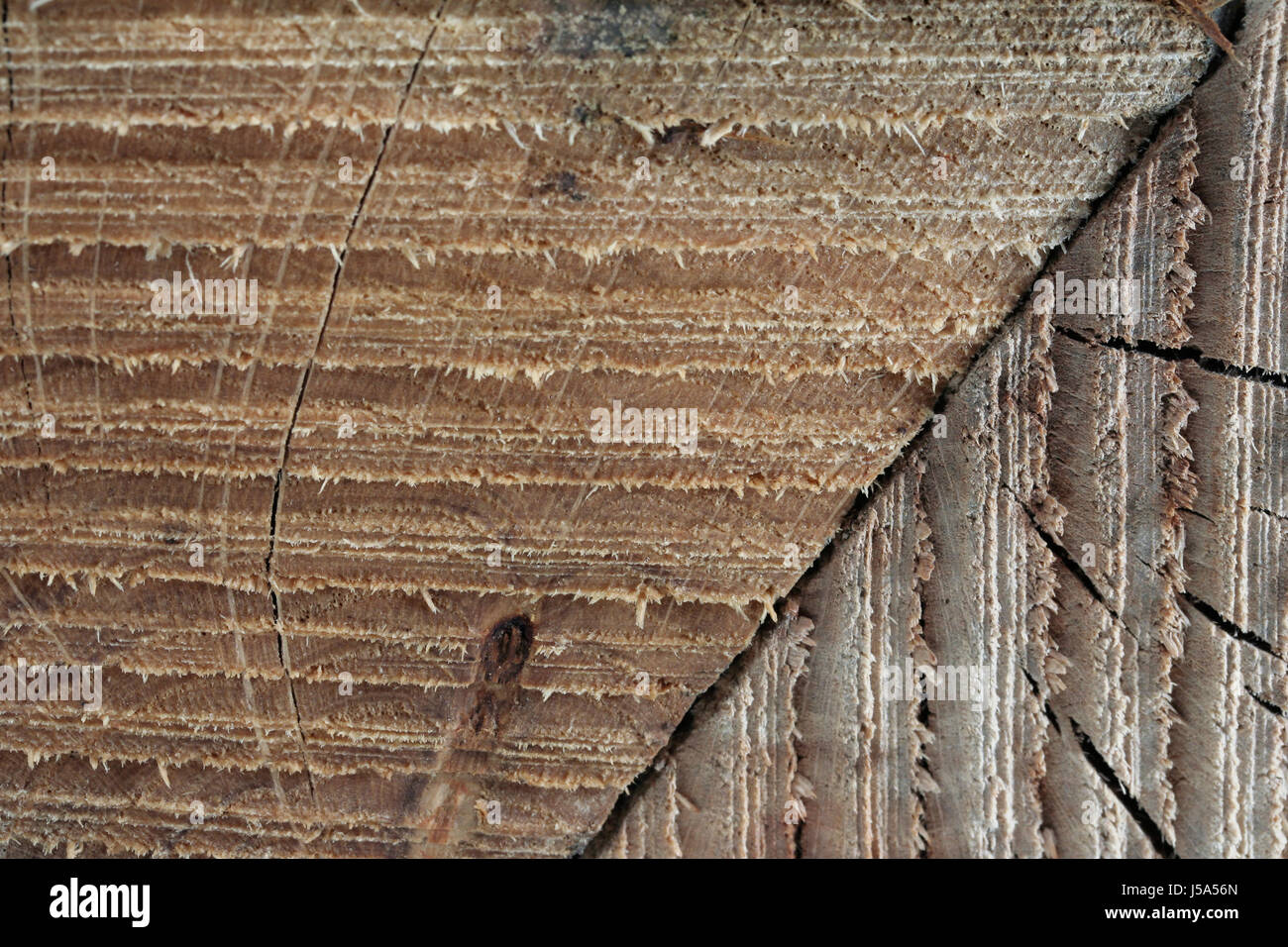 Holz diagonal Eiche Vene alten Buche j Ebenenstruktur Hintergrund Hintergrund Stockfoto