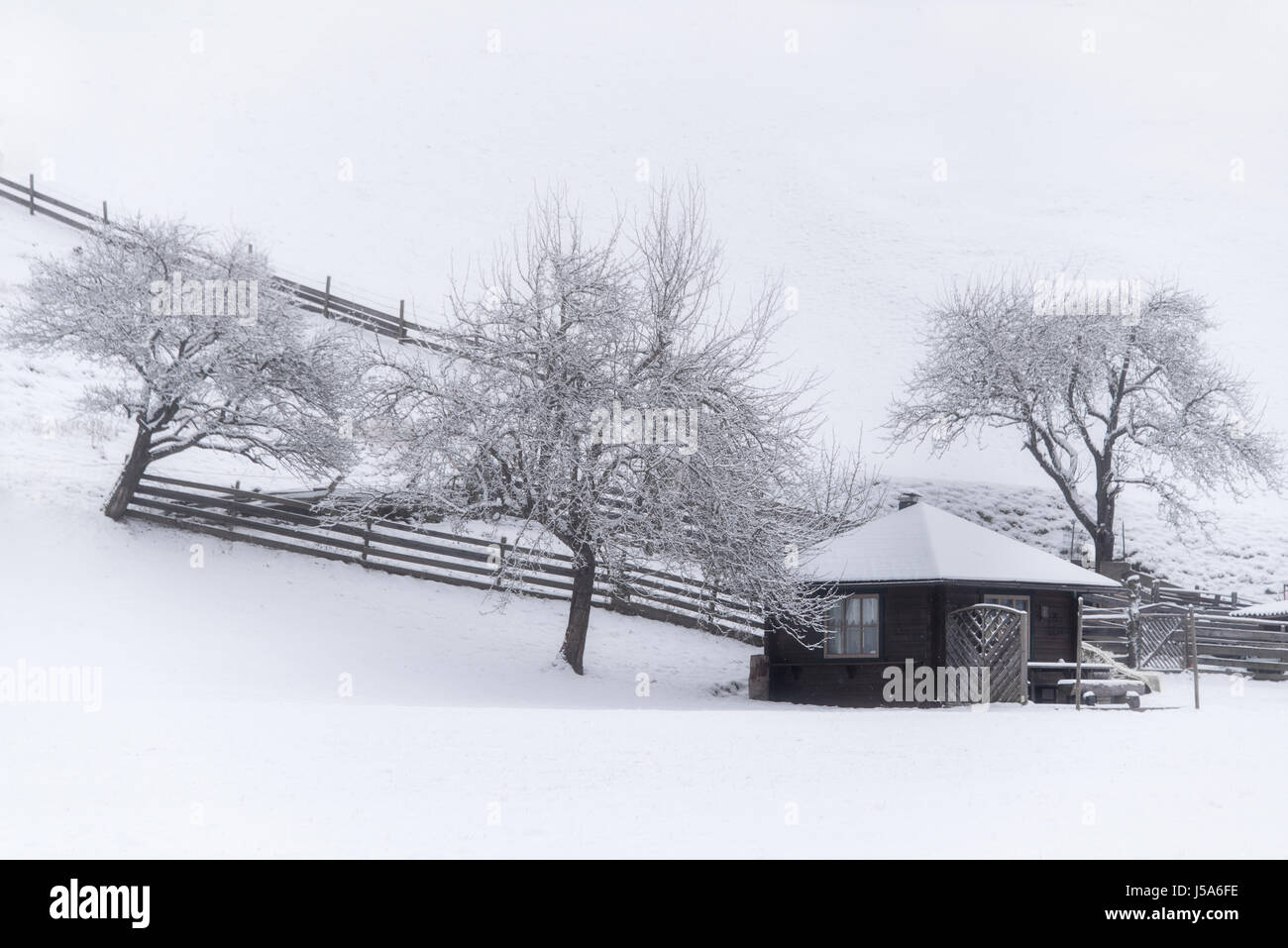 Kalten Wintertag in Österreich Stockfoto