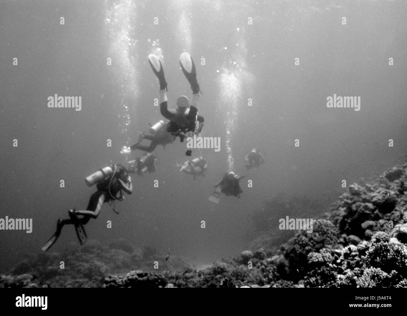 Antike breite Dive Tauchen Sport Salzwasser Meer Ozean Wasser Taucher schwarzwei Stockfoto