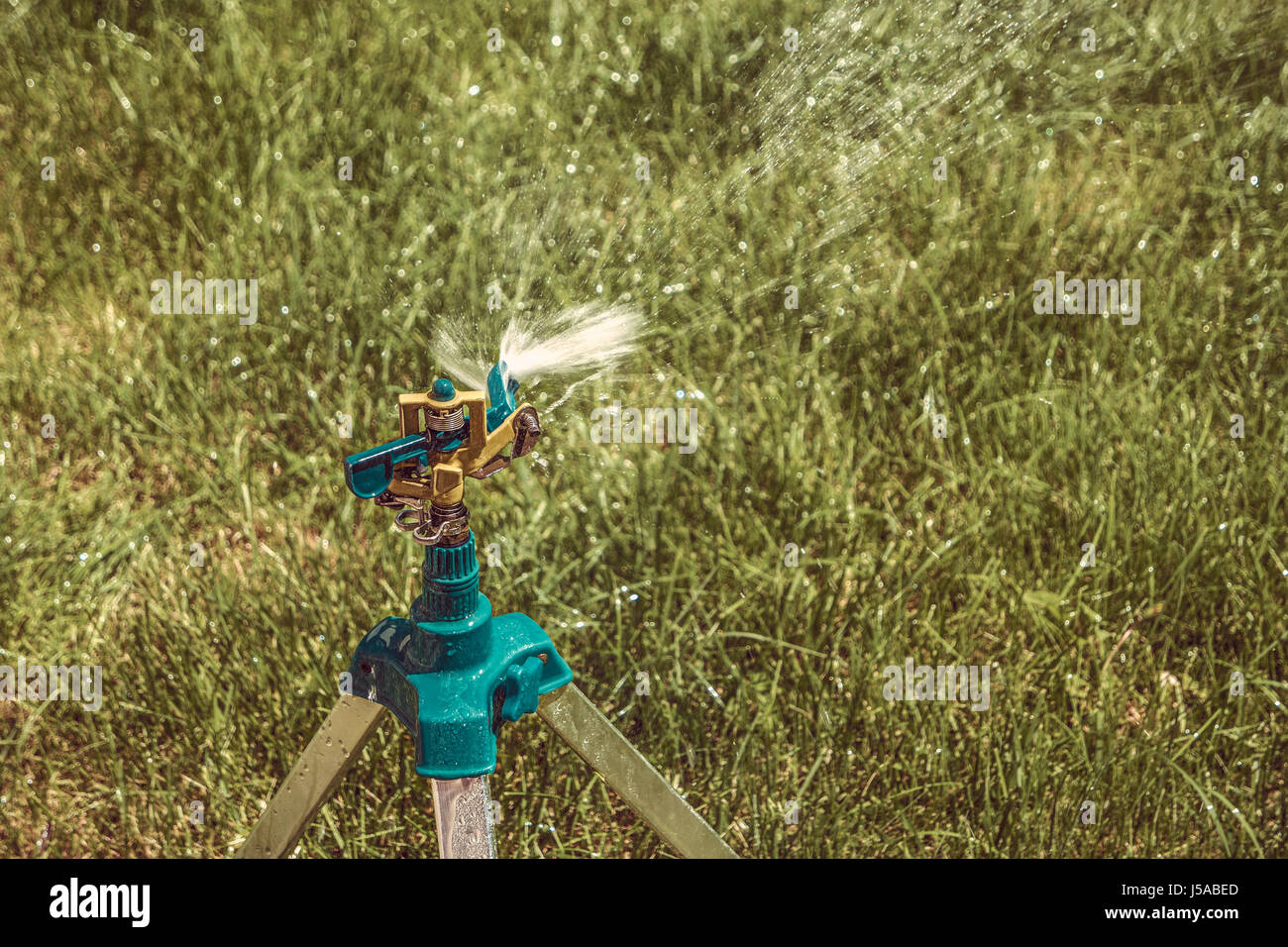 Garten Regner auf Stativ arbeiten, Textfreiraum Stockfoto