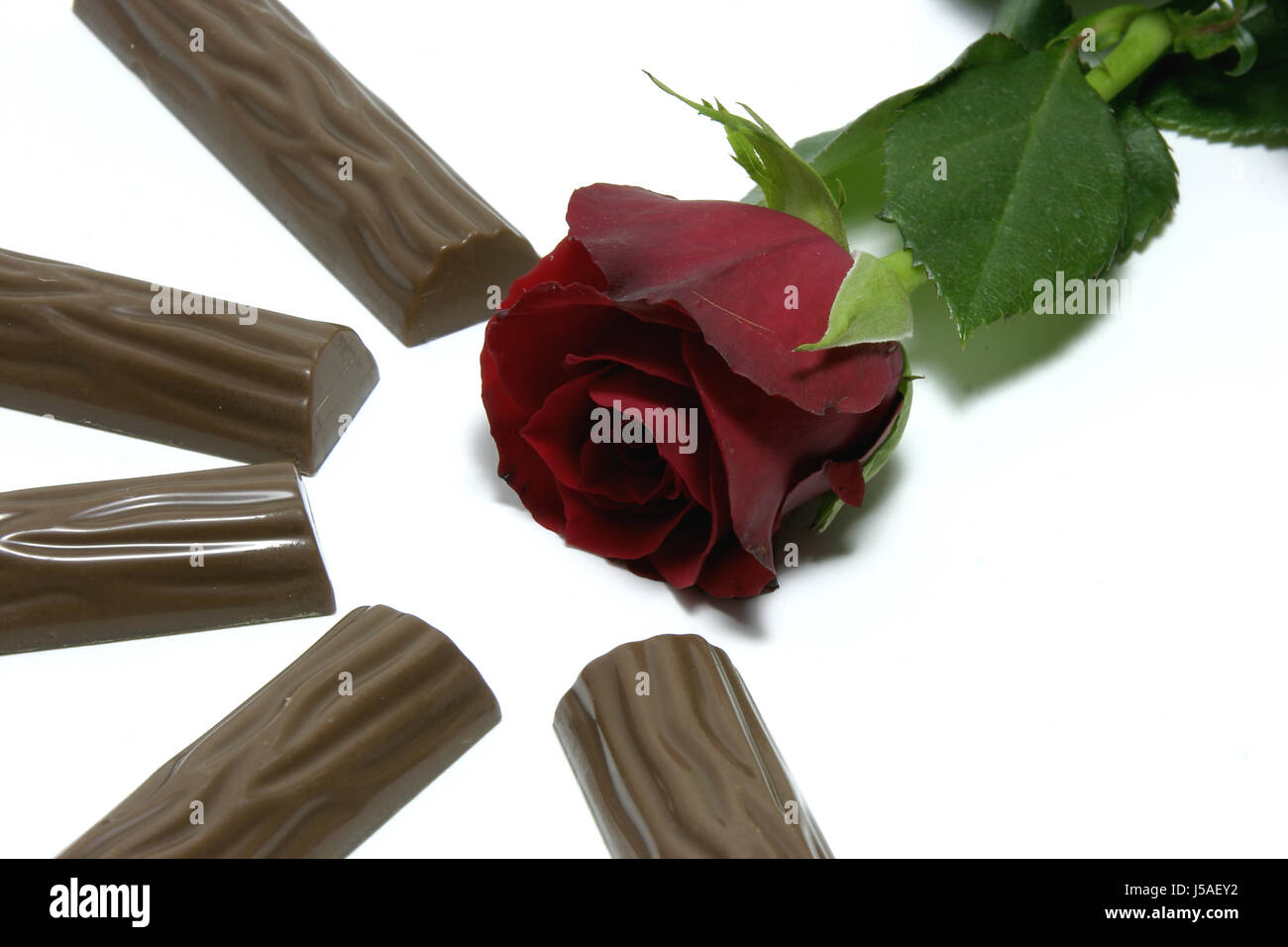 Blumen mit dornen -Fotos und -Bildmaterial in hoher Auflösung – Alamy