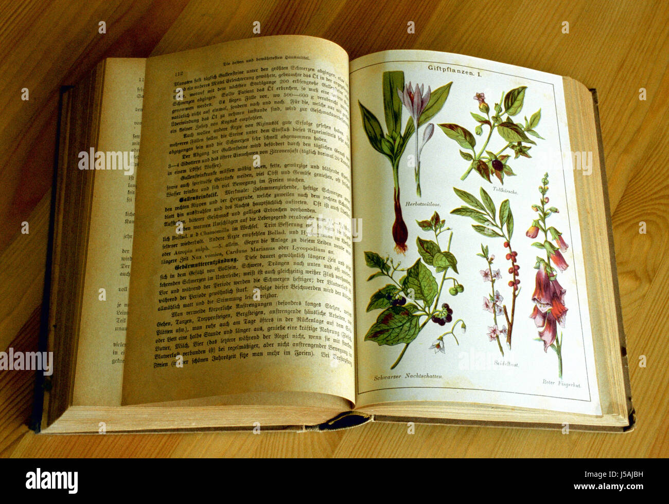 Bücher König buchen Ratgeber in Gesunden Und Kranken Tagen dr f 1920 Stockfoto