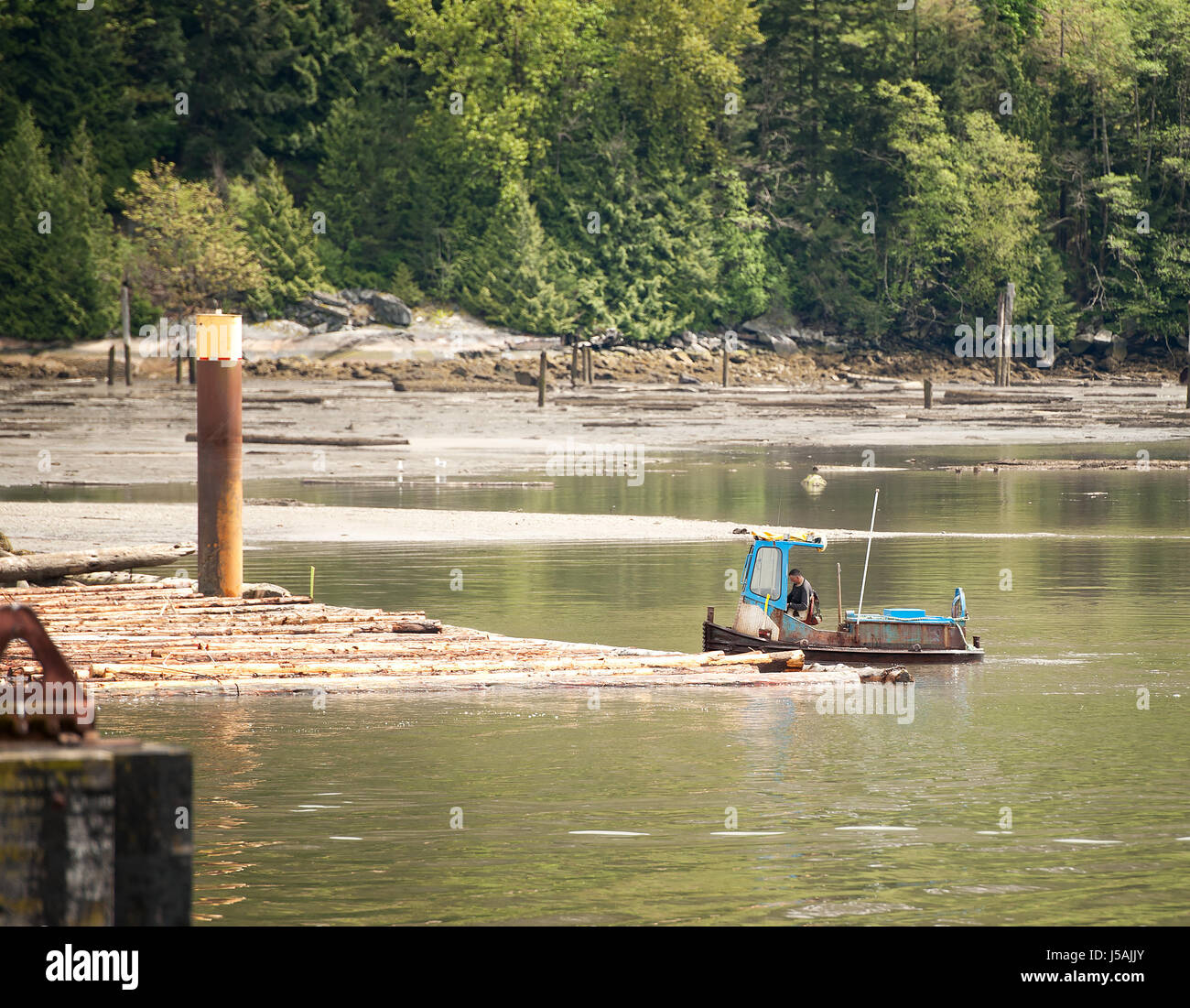 Ein ein-Mann-Schlepper oder Boom-Boot, bei der Arbeit bilden Sie gebündelte Protokolle Protokolle in großen Log Ausleger.  Entlang der Uferpromenade von Squamish.  Squamish BC, Kanada Stockfoto