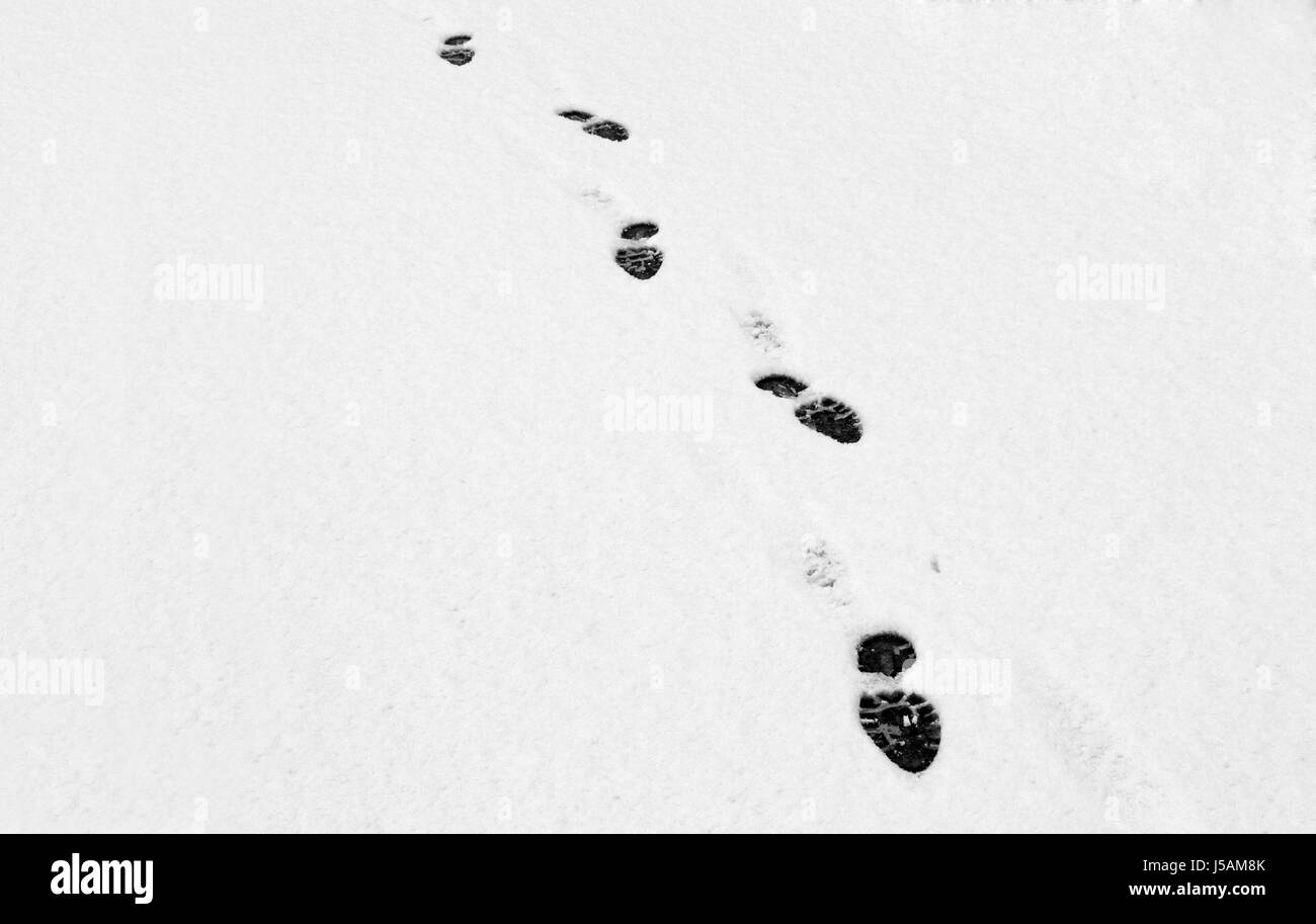 Winter Schwarze dunkelhäutige kohlschwarze tiefschwarze Fuß Schnee alleine einsame Spuren Stockfoto