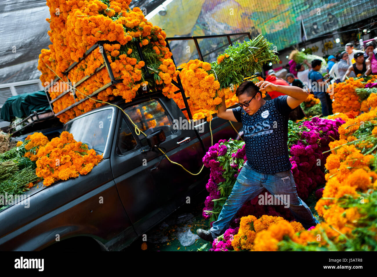 Eine mexikanische Blume Markt Verkäufer trägt eine Reihe von Ringelblumen (Flor de Muertos) Tag der Toten feiern in Mexico City, Mexiko. Stockfoto