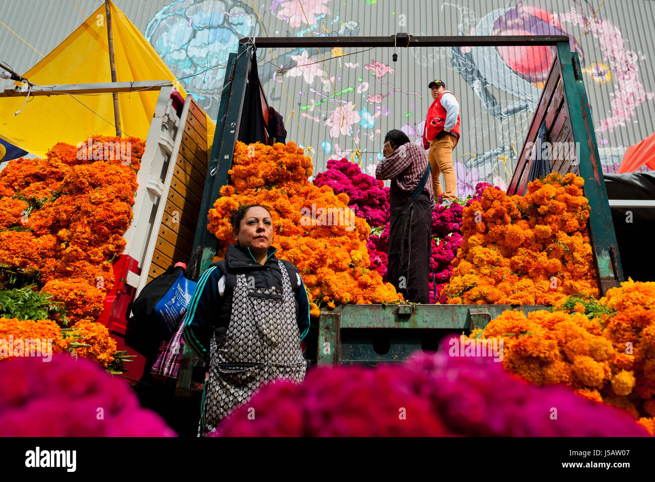 Mexikanischen Markthändler entladen haufenweise Ringelblumen (Flor de Muertos) der Tag der Toten Festlichkeiten in Mexico City, Mexiko. Stockfoto