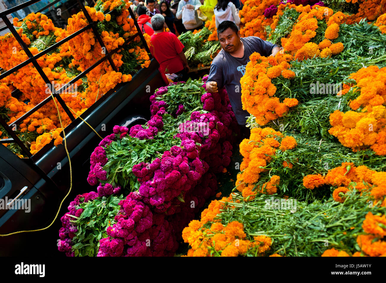 Eine mexikanische Blume Markt Anbieter Pfähle, Blumensträuße Ringelblume (Flor de Muertos) Tag der Toten feiern in Mexico City, Mexiko. Stockfoto