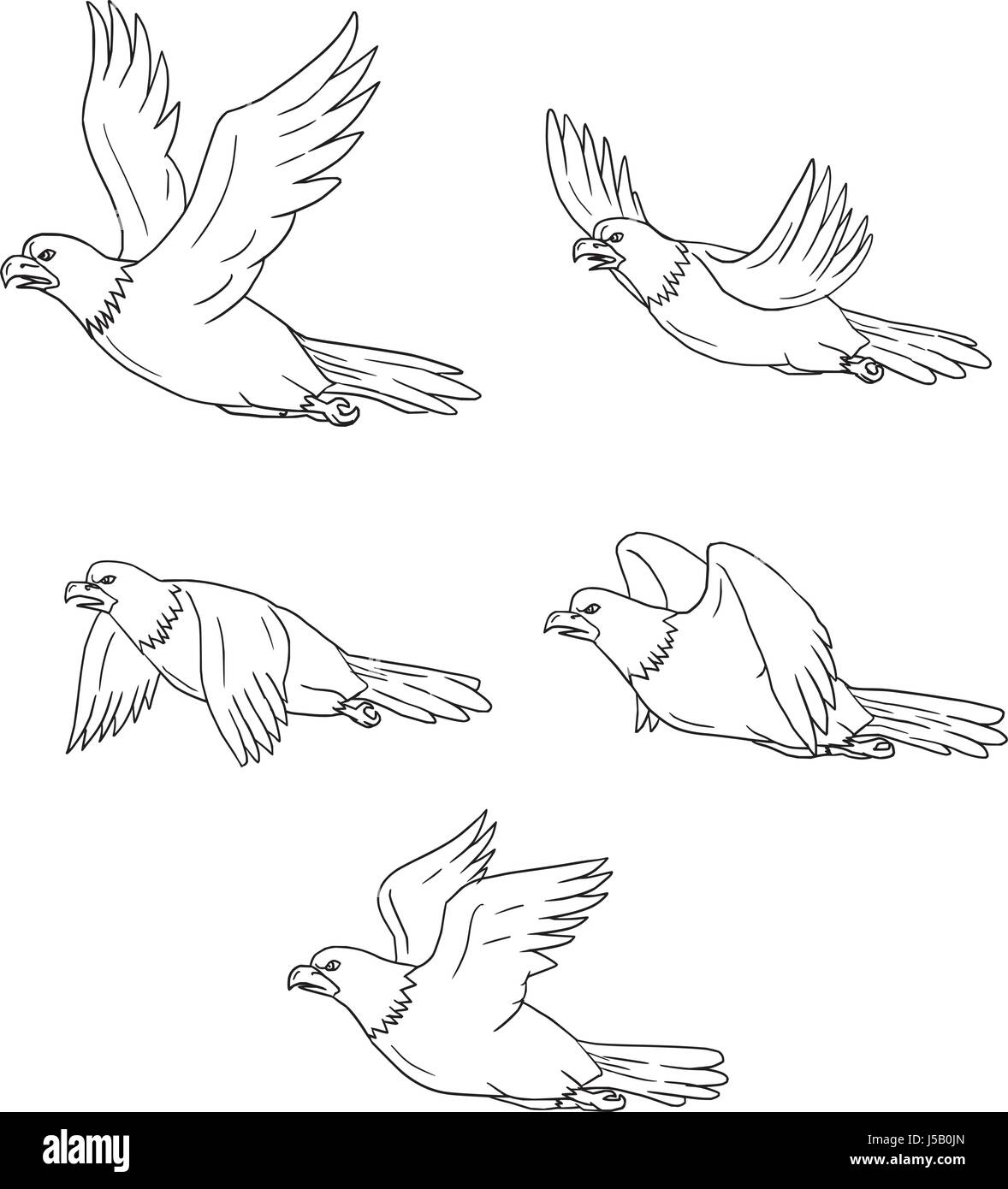 Sammlung von Abbildungen von einem Adler fliegen mit Flügeln in verschiedenen Bewegungen im Cartoon Stil angesehen flattern. Stock Vektor