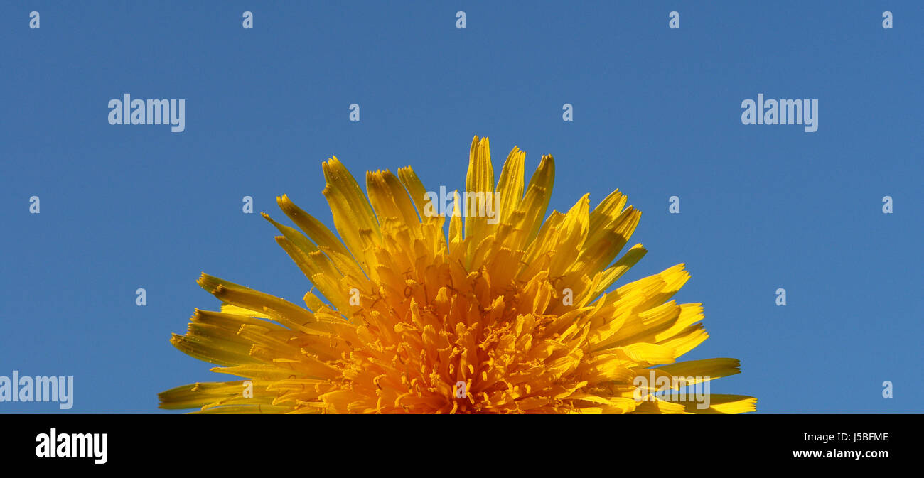 Sonnenaufgang Stockfoto