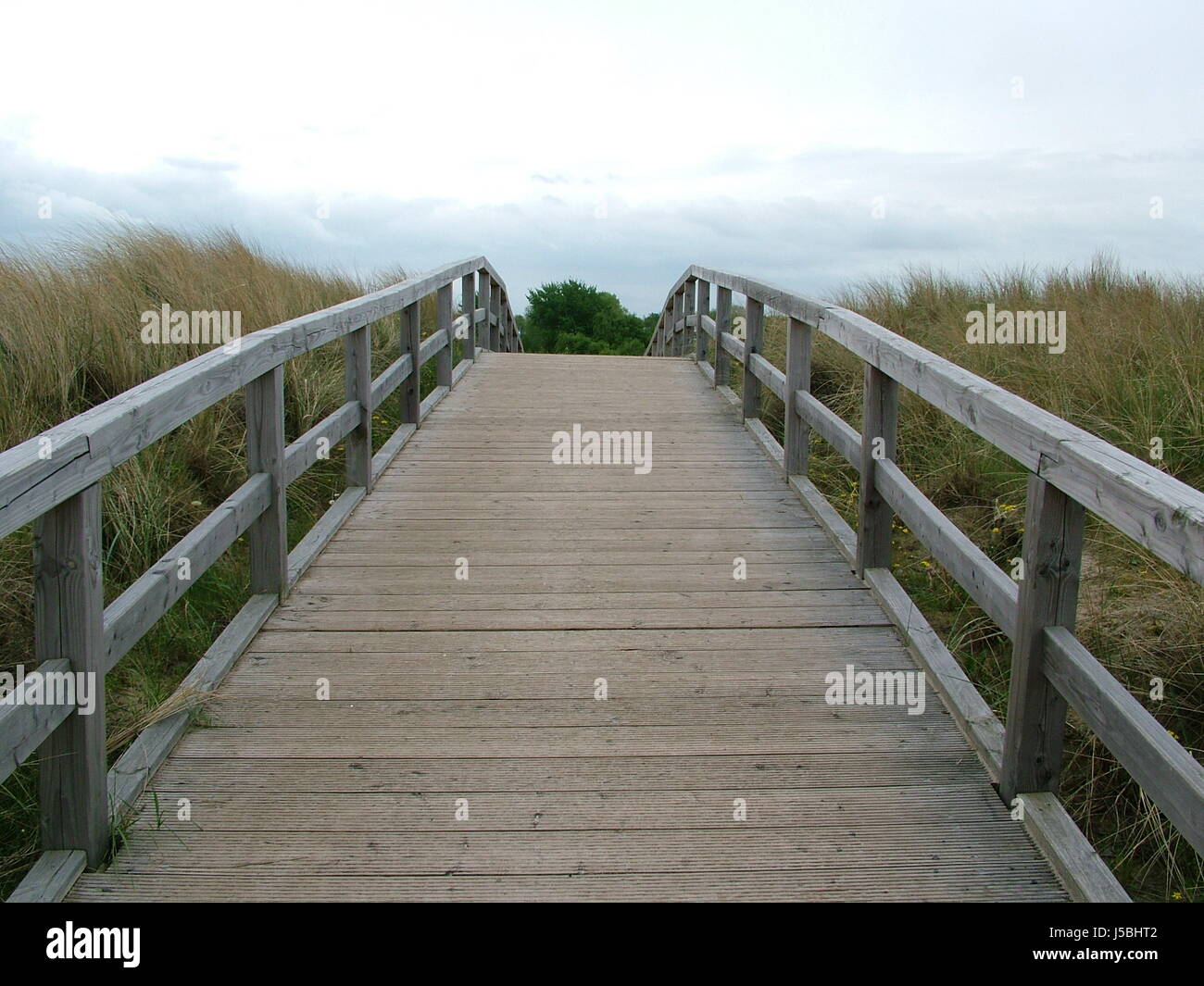Braun bräunlich Brünette Holzbrücke Erhaltung der Natur Büsche Dünen Strand Stockfoto