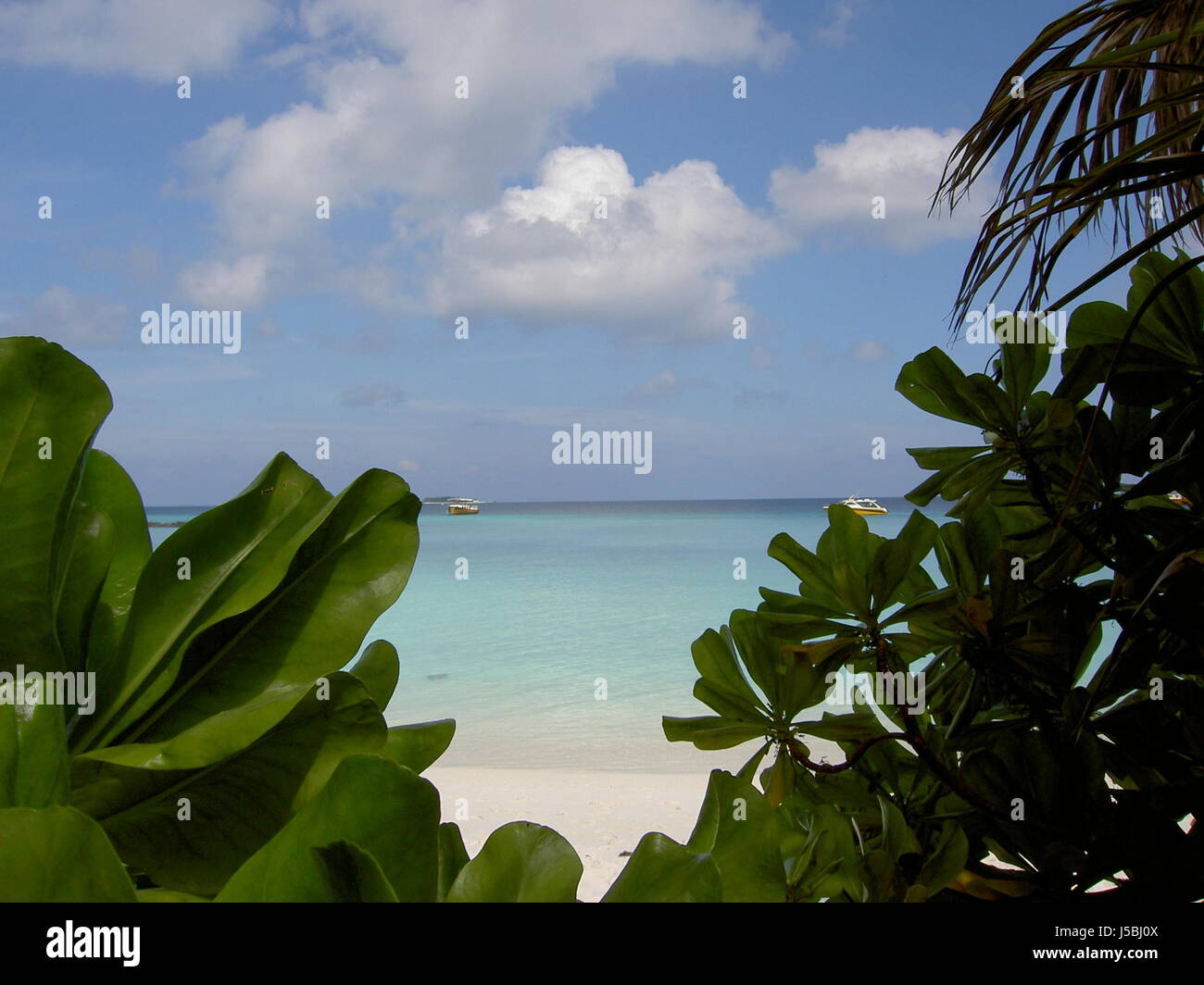 Summer Island Stockfoto