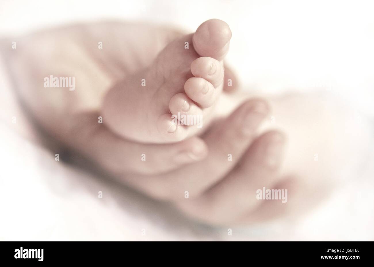 schöne beauteously schöne kleine winzige kleine Hand kurz Baby Fuß Zärtlichkeit Stockfoto