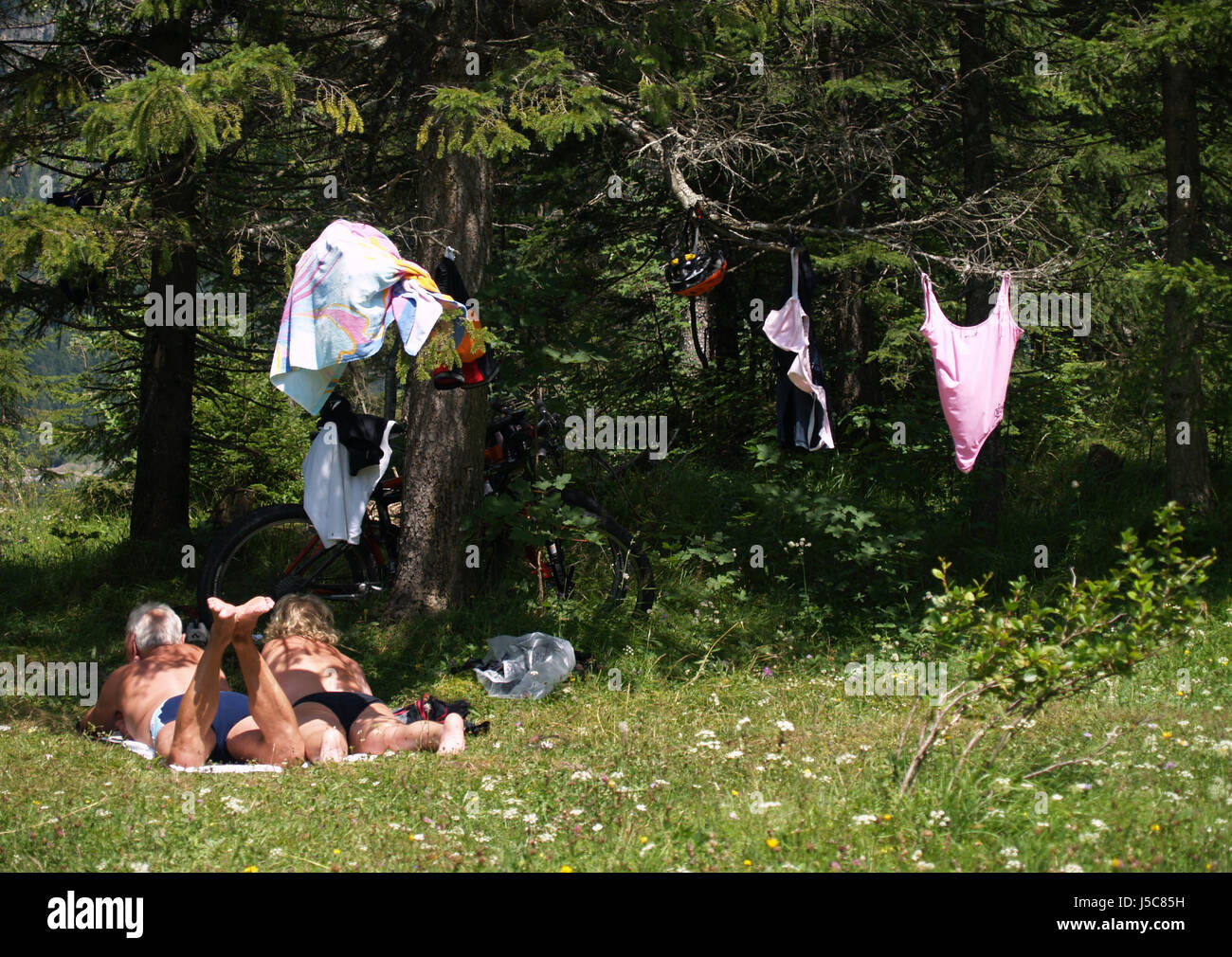 Frau Opa Großvater Freizeit Freizeit Freizeit Freizeit Zeit Baum Bäume Stockfoto