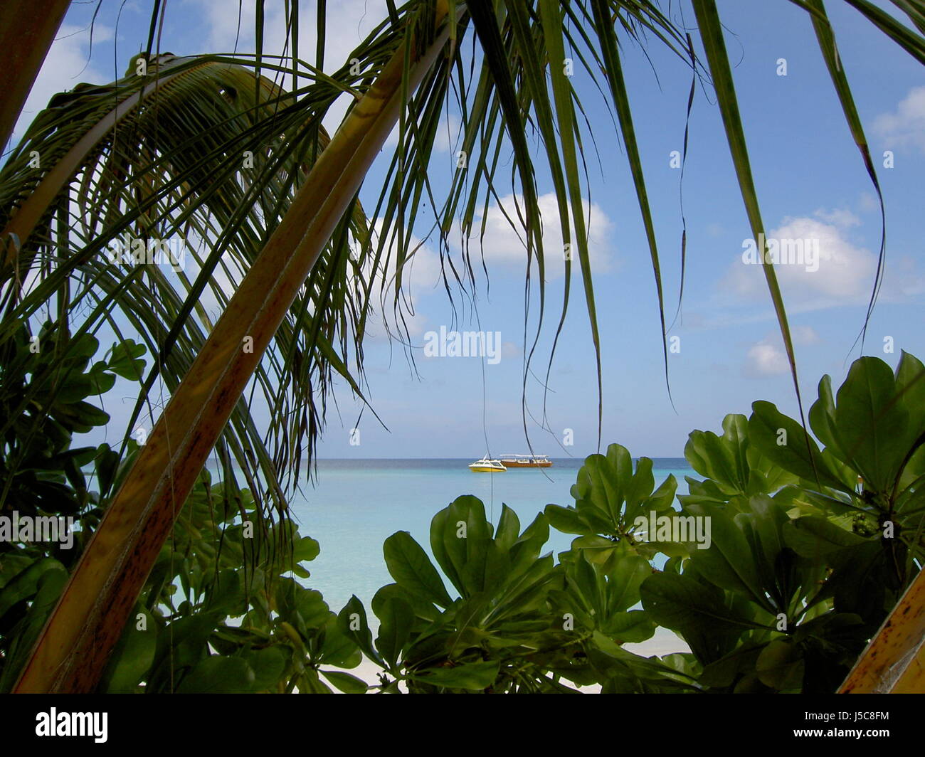 Reisen Sie Urlaub Urlaub Urlaub Urlaub Malediven Atoll Palmen tropische Idylle Stockfoto