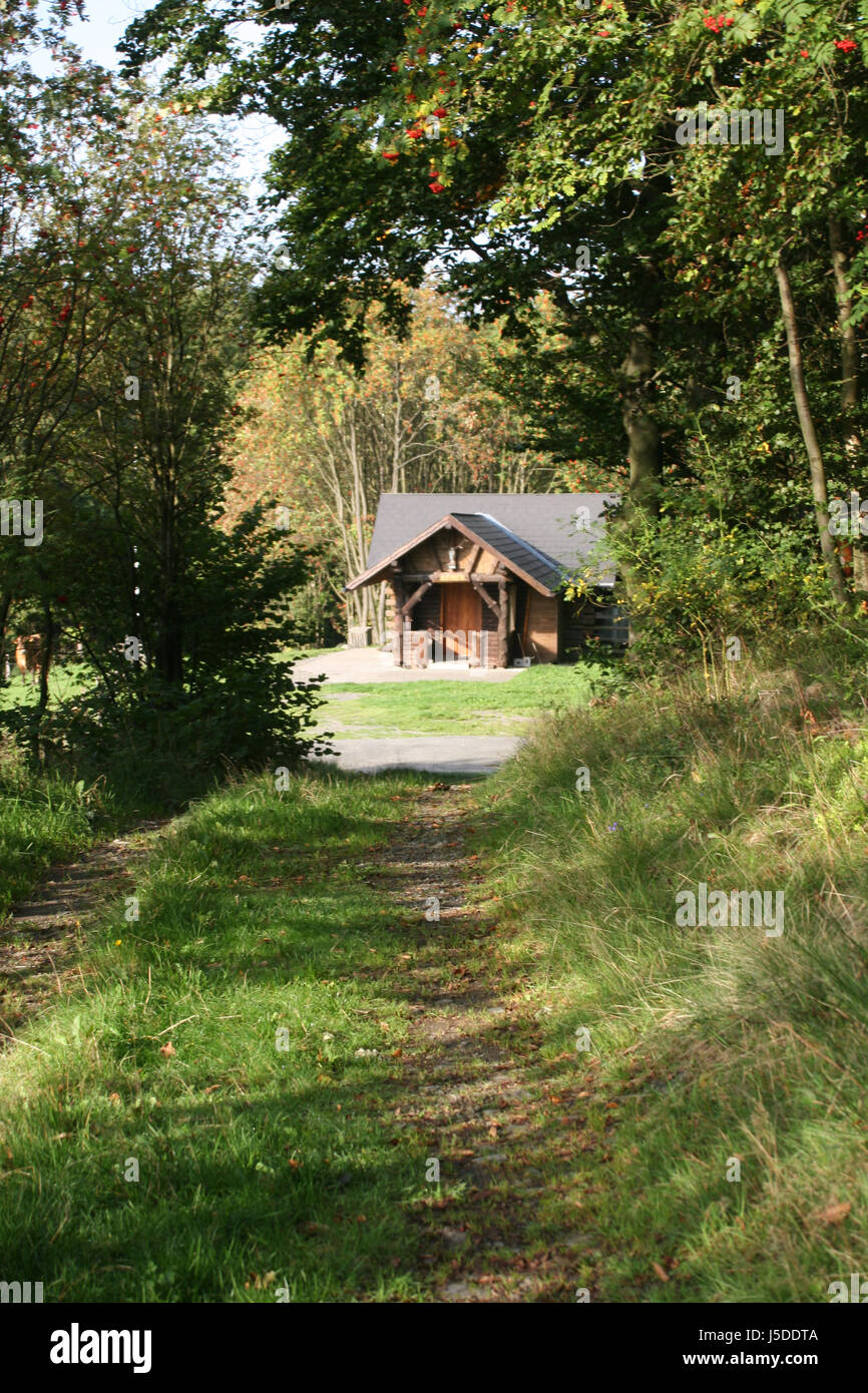 Hütte im Wald Stockfotografie - Alamy
