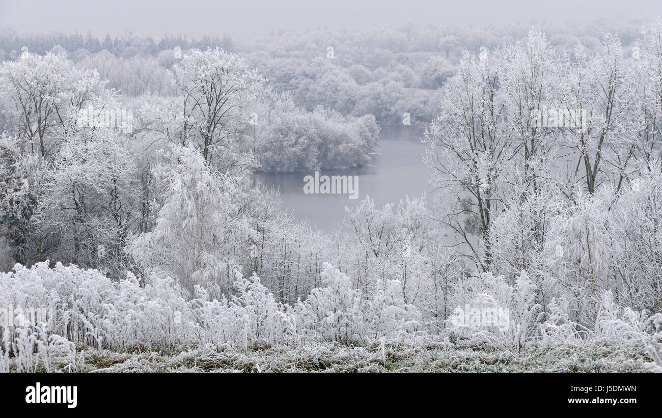 Raureif auf dem Land im Winter, bewaldeten Ufer des Flusses Mayenne (North Mayenne, Land der Loire, Frankreich). Stockfoto