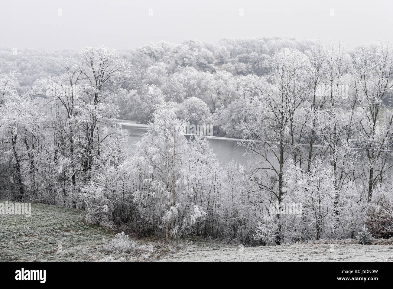 Raureif auf dem Land im Winter, bewaldeten Ufer des Flusses Mayenne (North Mayenne, Land der Loire, Frankreich). Stockfoto