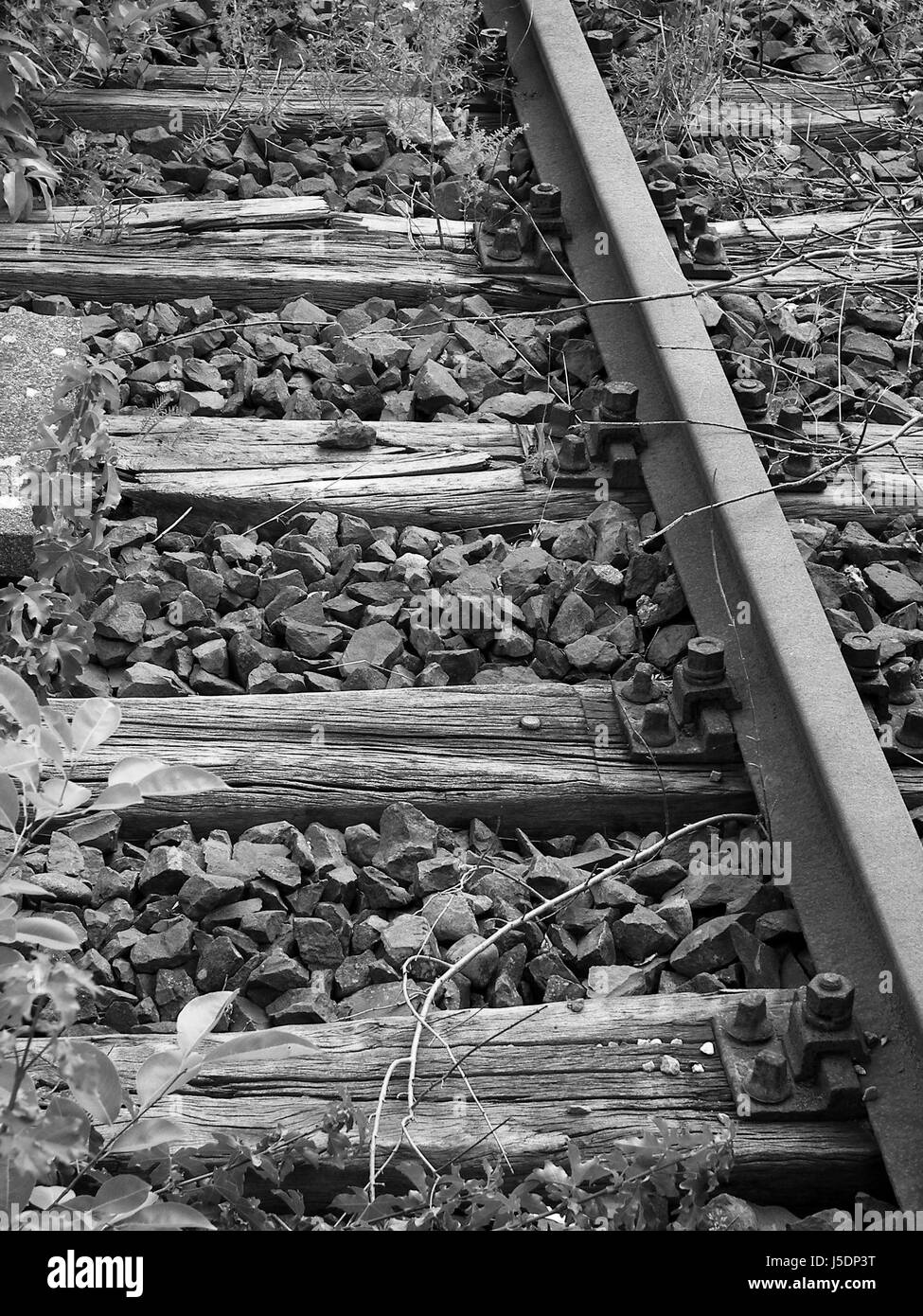 Nahaufnahme von Spuren in schwarz / weiß Stockfoto