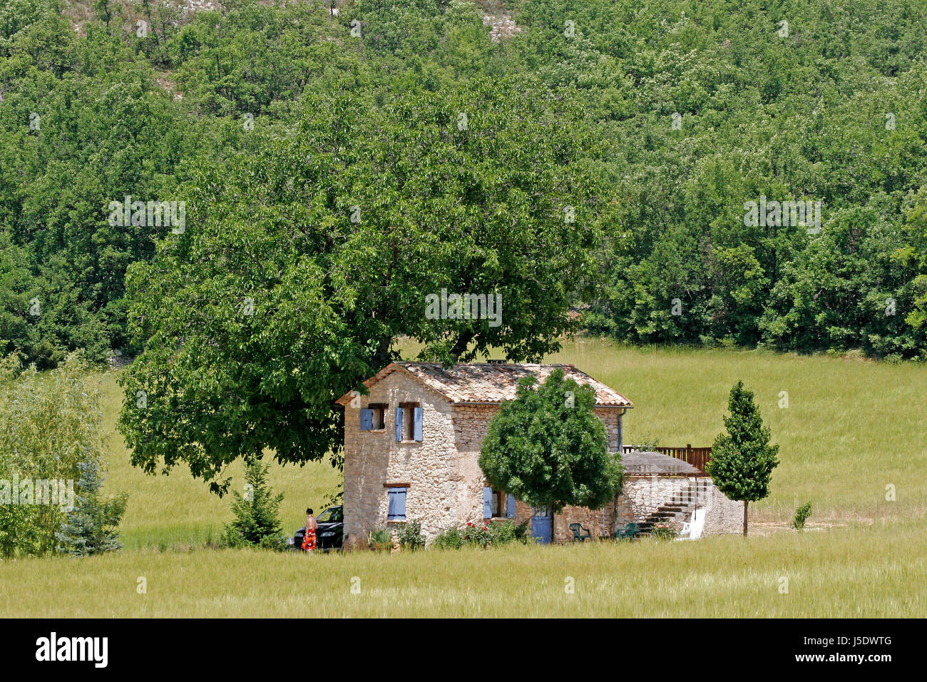 Haus Rasen in Sault, provence Stockfoto