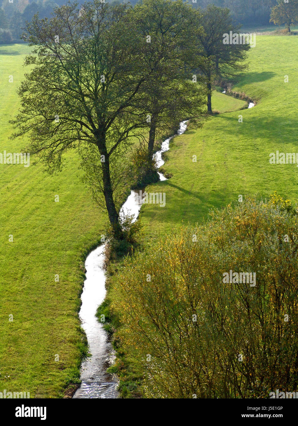 Baum Bäume grünen Romantik Radio stille Ruhe Stille Stream Frühling  Stockfotografie - Alamy