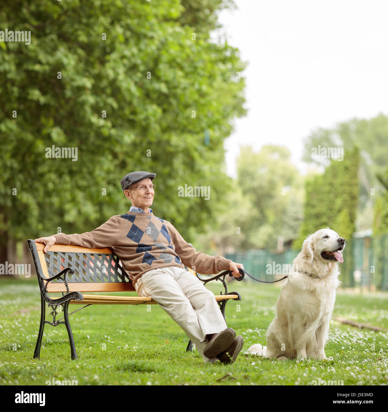 Älterer Mann mit einem Hund sitzt auf einer Holzbank im park Stockfoto