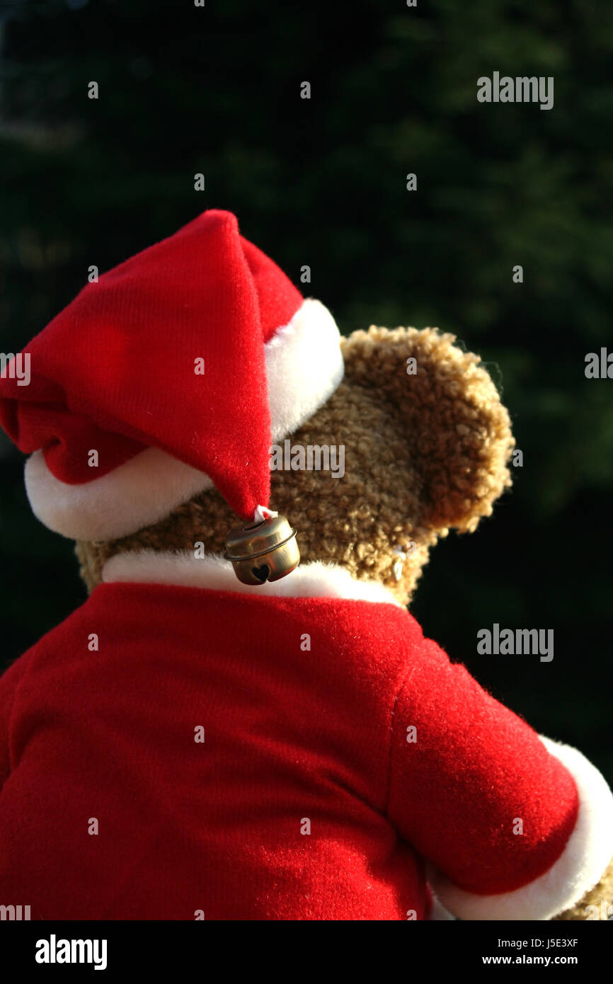 Advent Teddy Teddybär Teddybär GAP Nicholas bell hinter Weihnachten Weihnachten Stockfoto