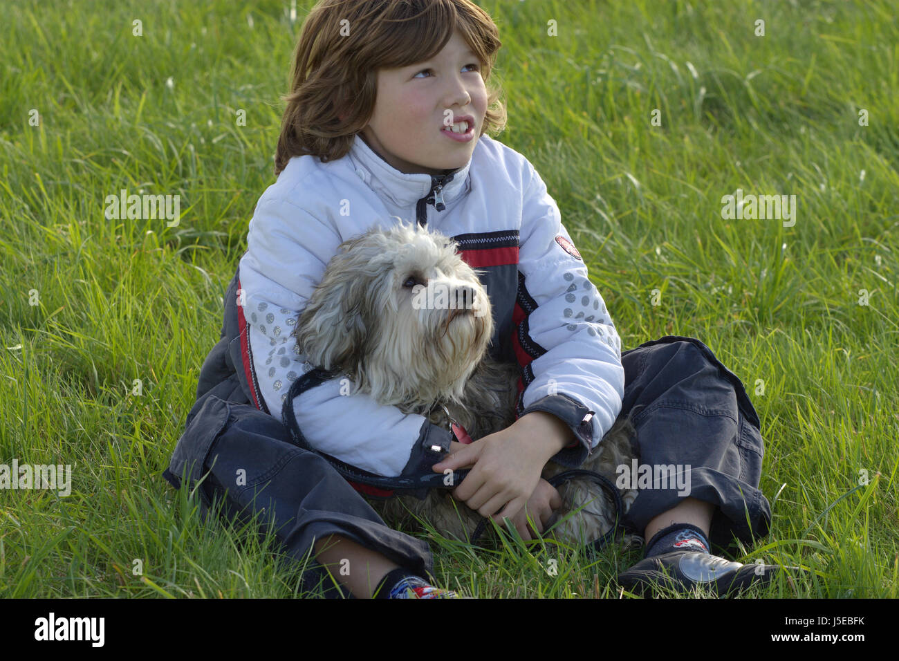 Junge mit Hund Stockfoto