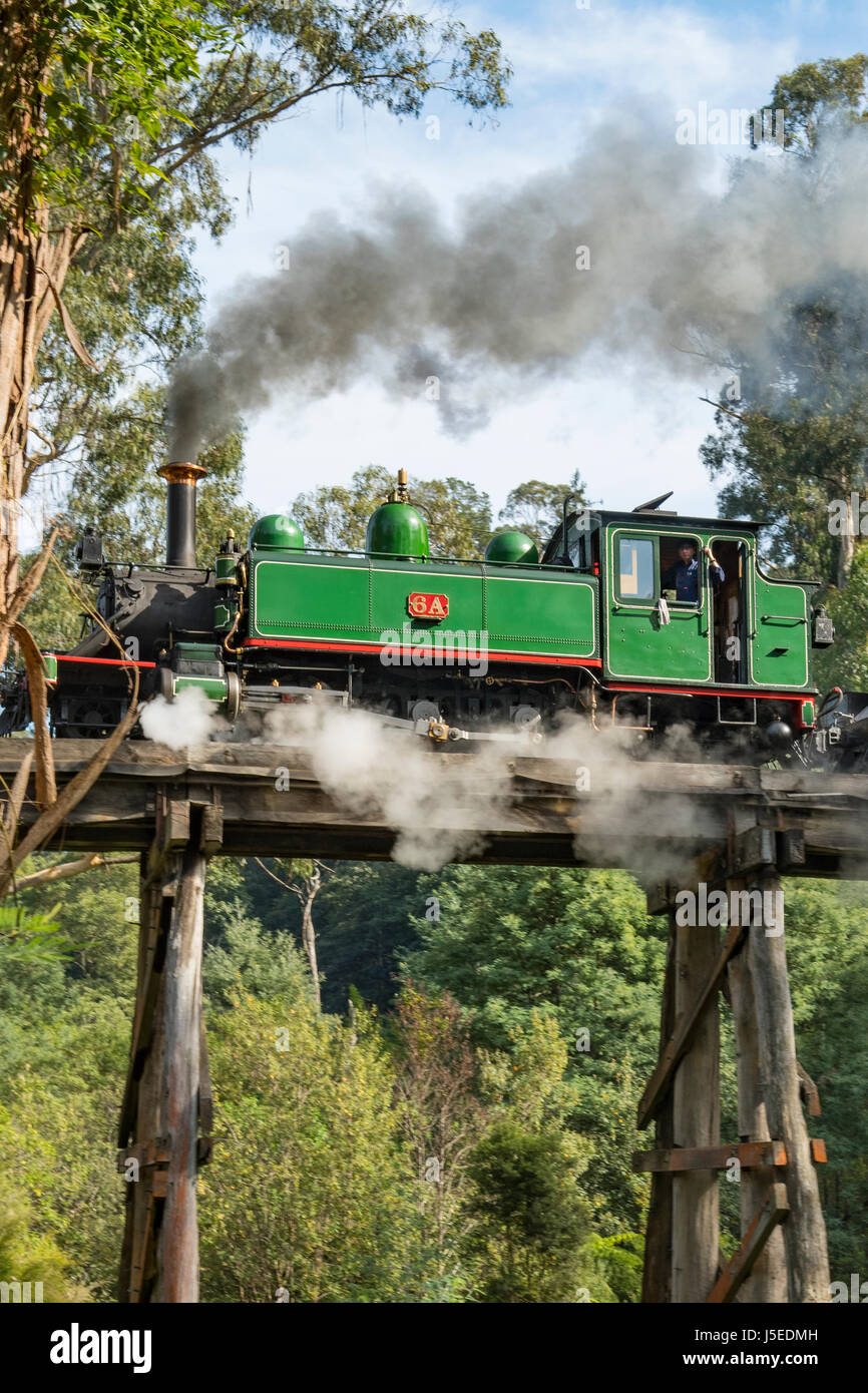 Puffing Billy 6A auf Selby Gestellbrücke, Melbourne, Victoria, Australien Stockfoto
