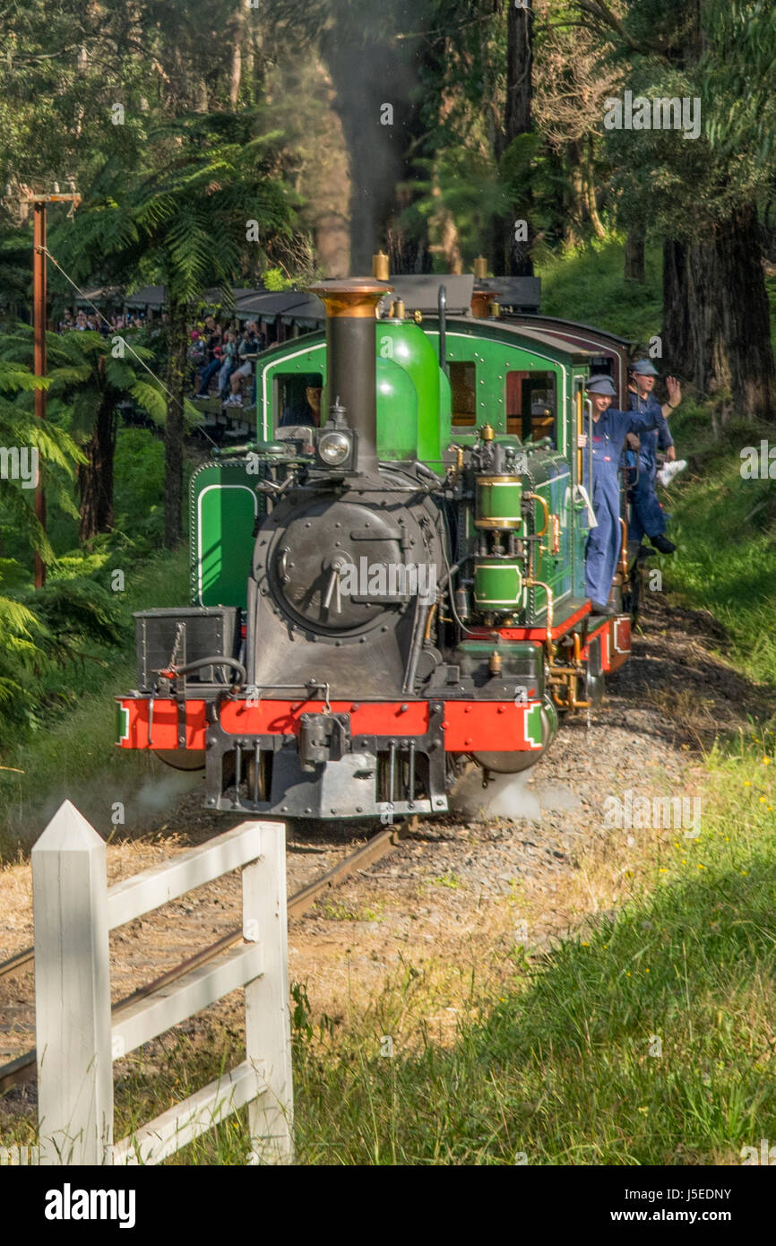 Puffing Billy an der Schule Road Crossing, Melbourne, Victoria, Australien Stockfoto