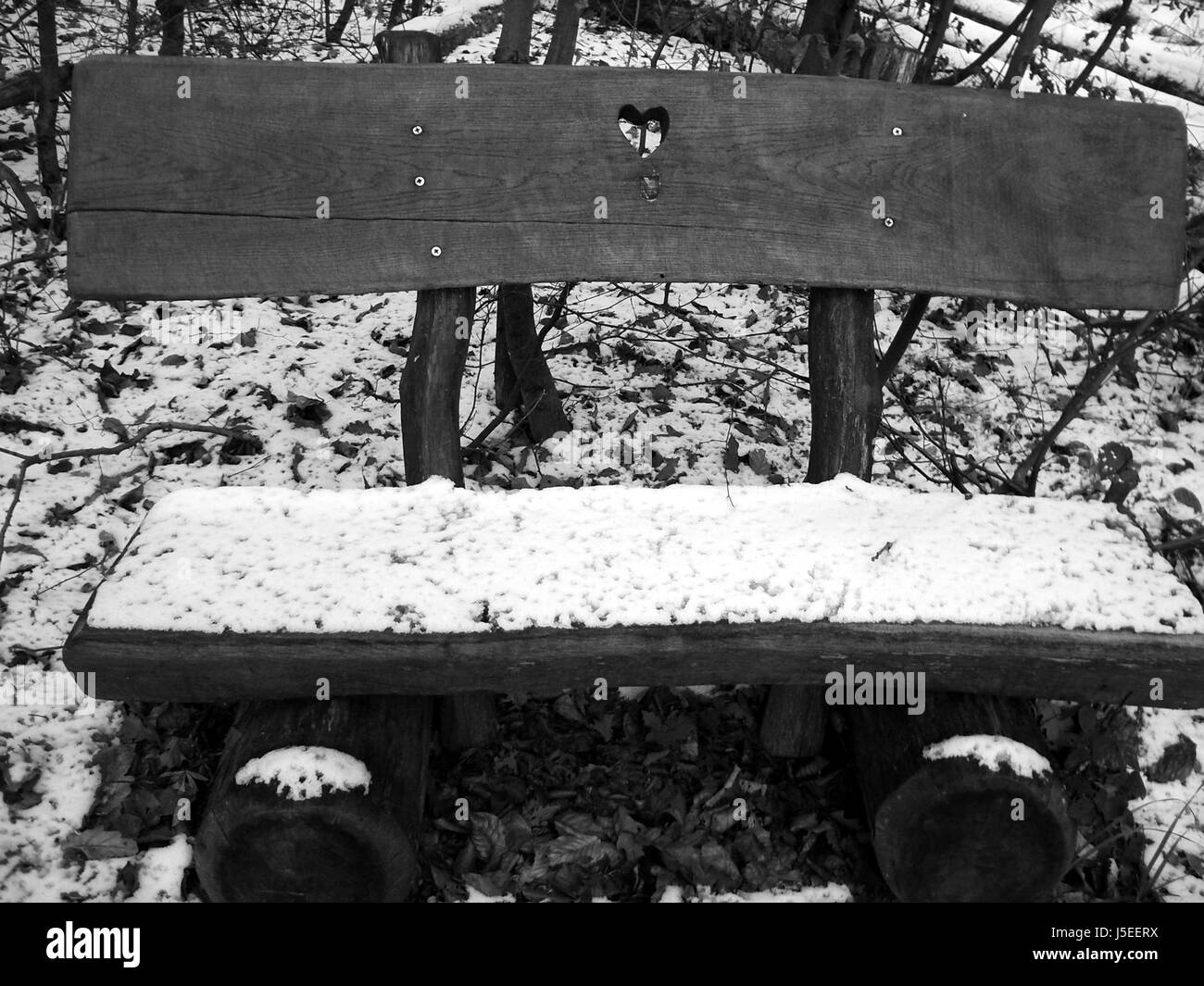 Winter kalte schwarze dunkelhäutige kohlschwarze tiefschwarze Schmerz Trauer Trauer Trauer Stockfoto