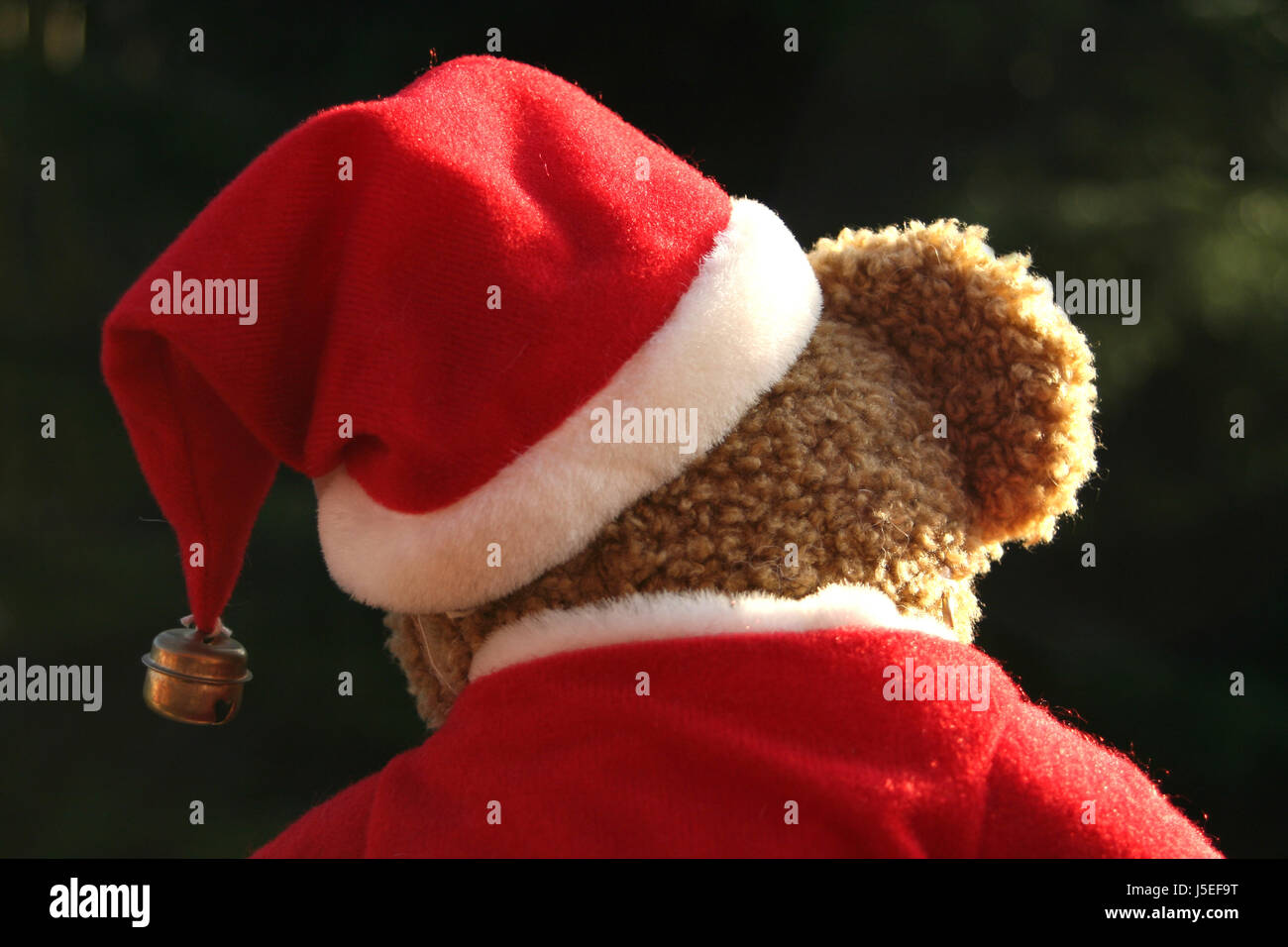 Advent Teddy Teddybär Teddybär GAP Nicholas bell hinter Weihnachten Weihnachten Stockfoto