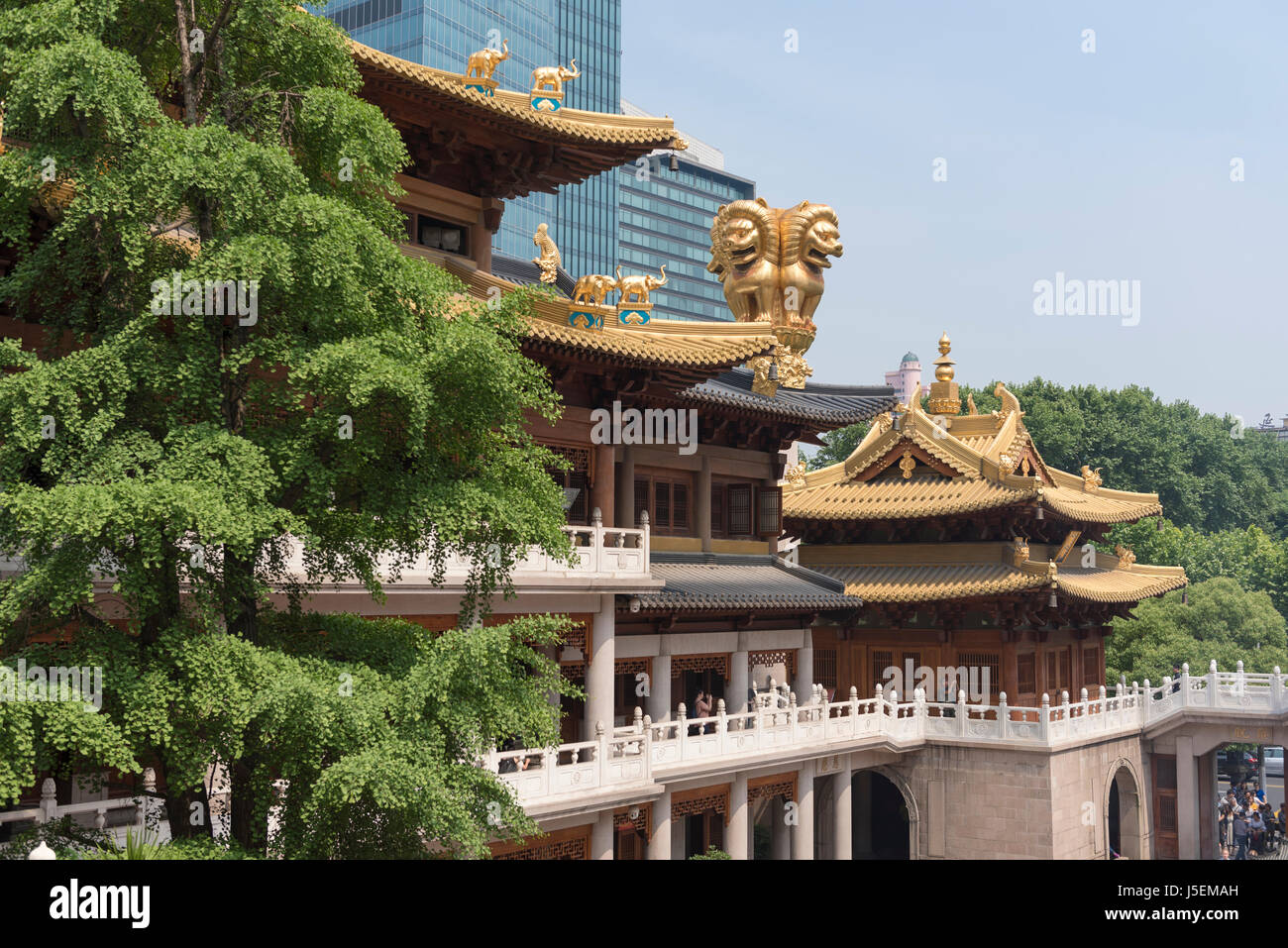 Jing buddhistischer Tempel in Shanghai, China mit reich verzierten Gebäuden und gold Löwenstatue Wächter Stockfoto